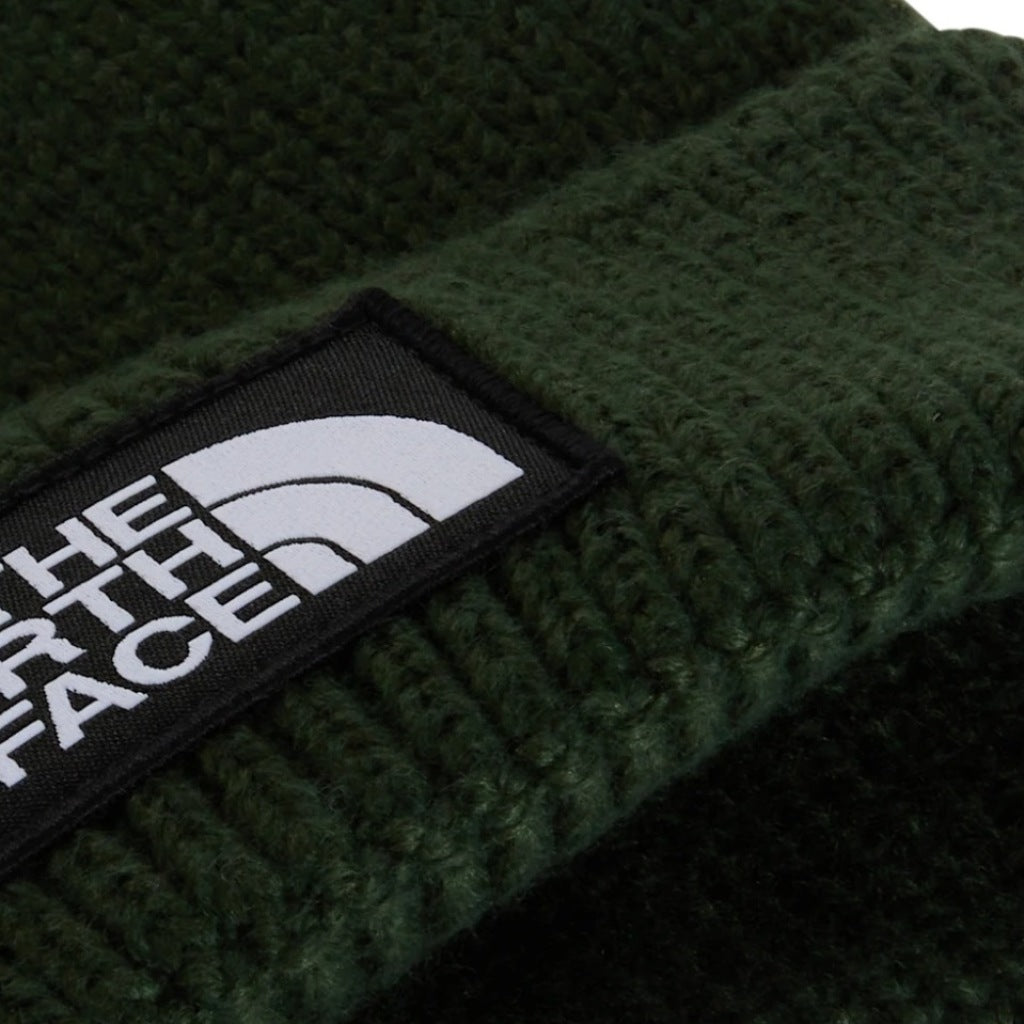 THE NORTH FACE TNF LOGO BOX CUFFED BNE en color   (6)