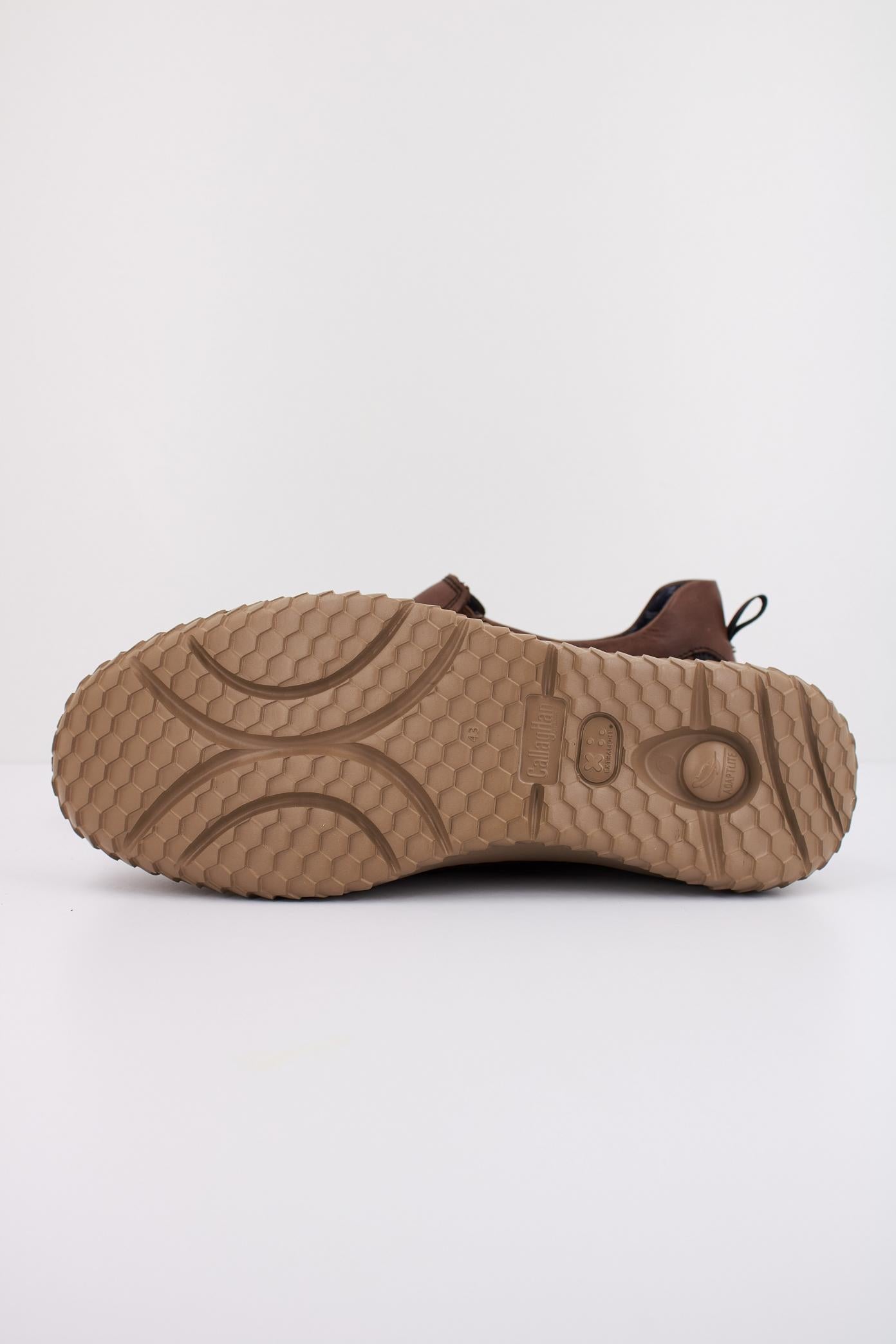 CALLAGHAN C en color MARRON  (5)