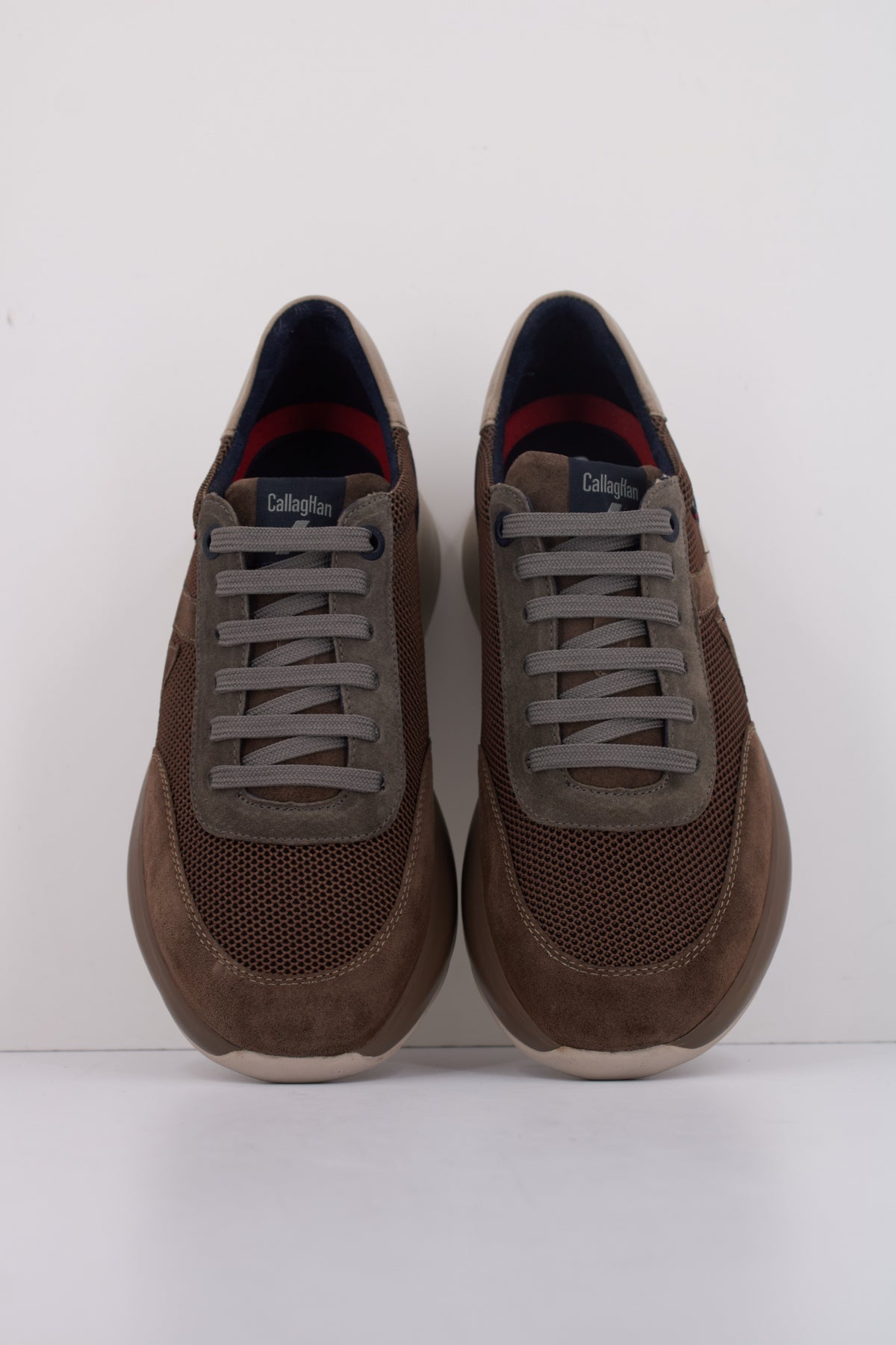 CALLAGHAN C en color MARRON CLARO  (3)