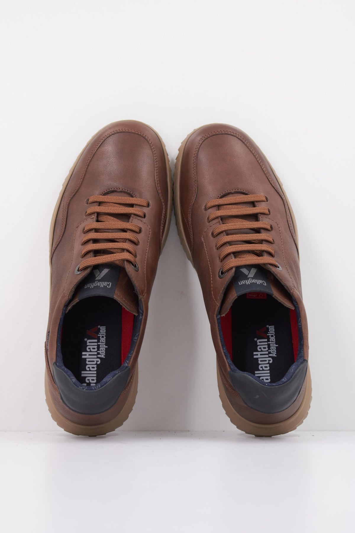 CALLAGHAN DORADO JACINTO en color MARRON  (3)