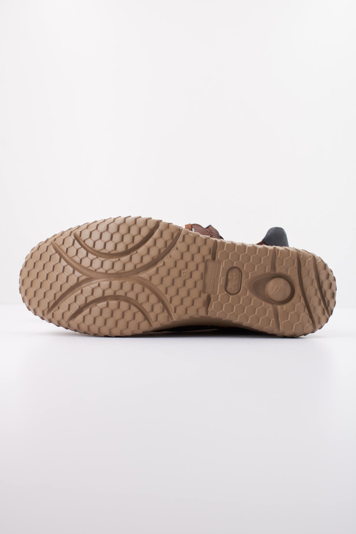 CALLAGHAN DORADO JACINTO en color MARRON  (5)