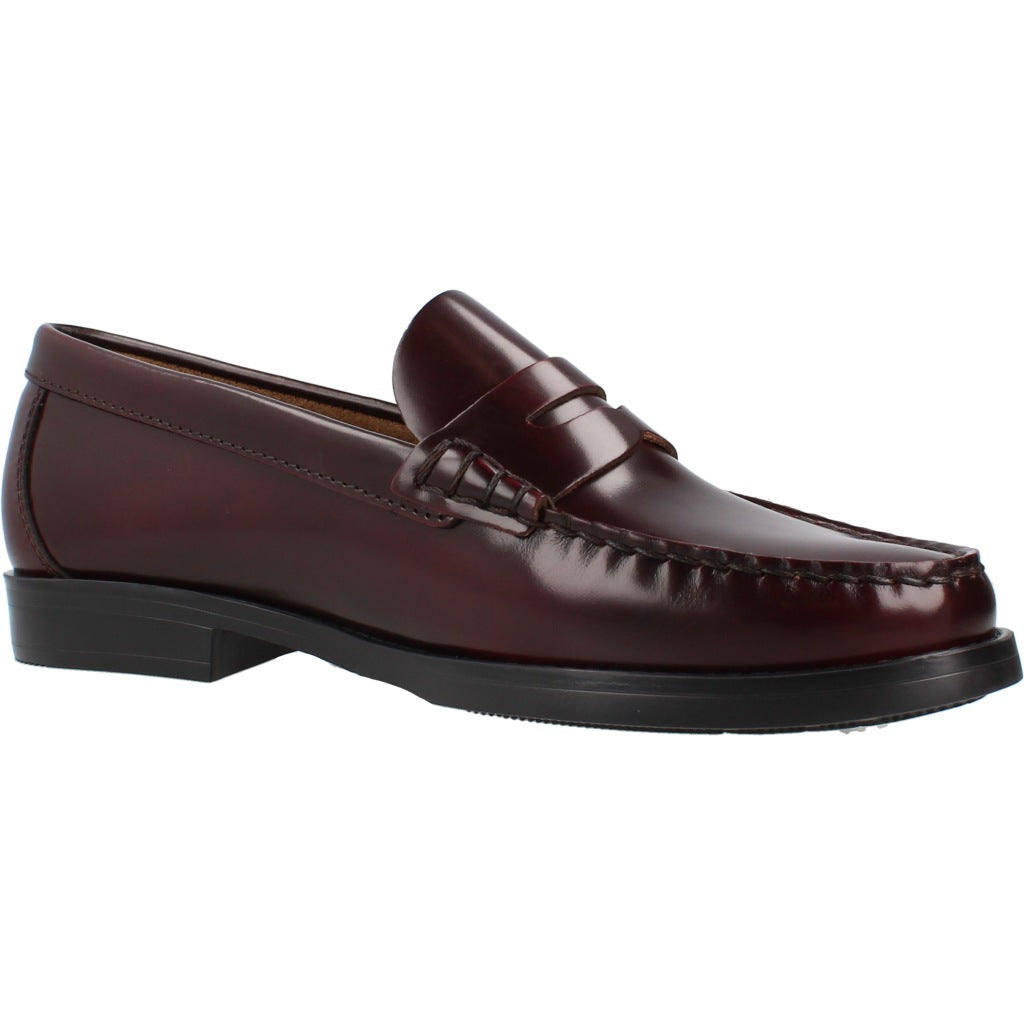 CALLAGHAN C en color MARRON  (5)