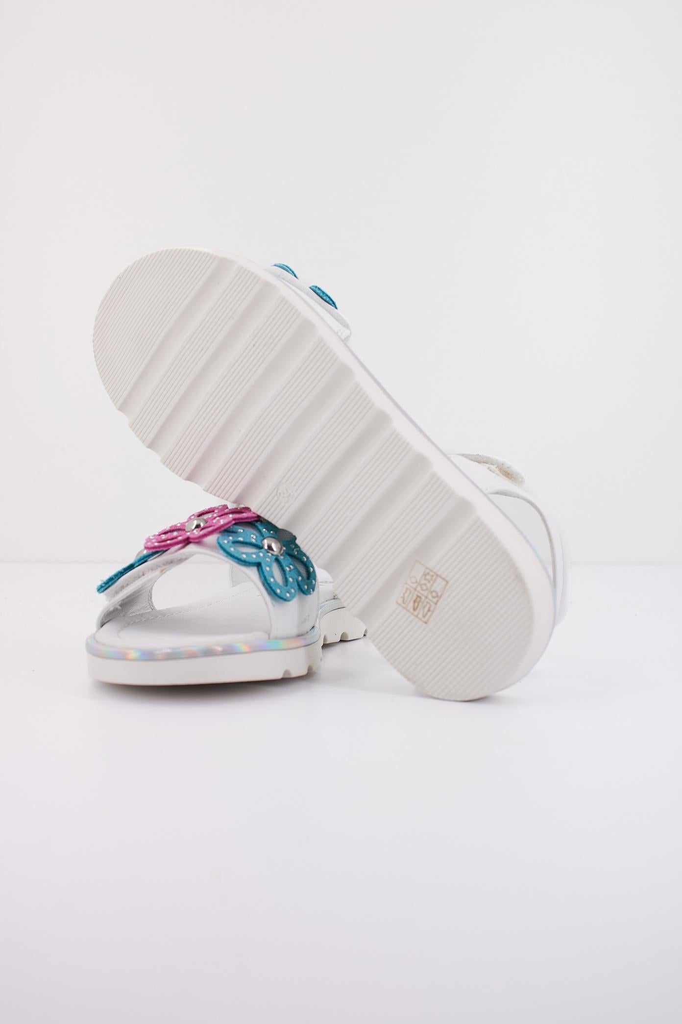 ASSO AG en color BLANCO  (4)