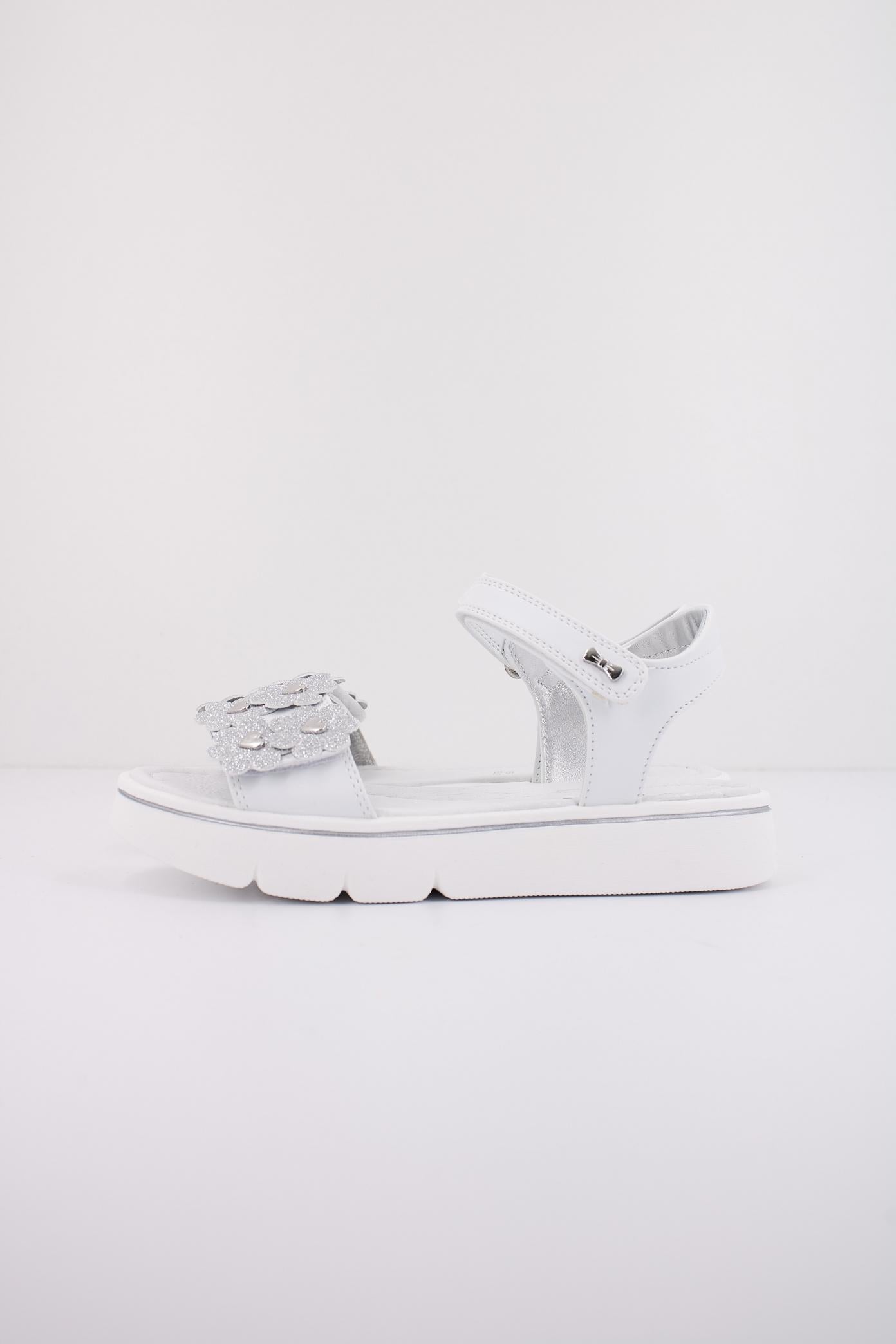 ASSO AG en color BLANCO  (1)