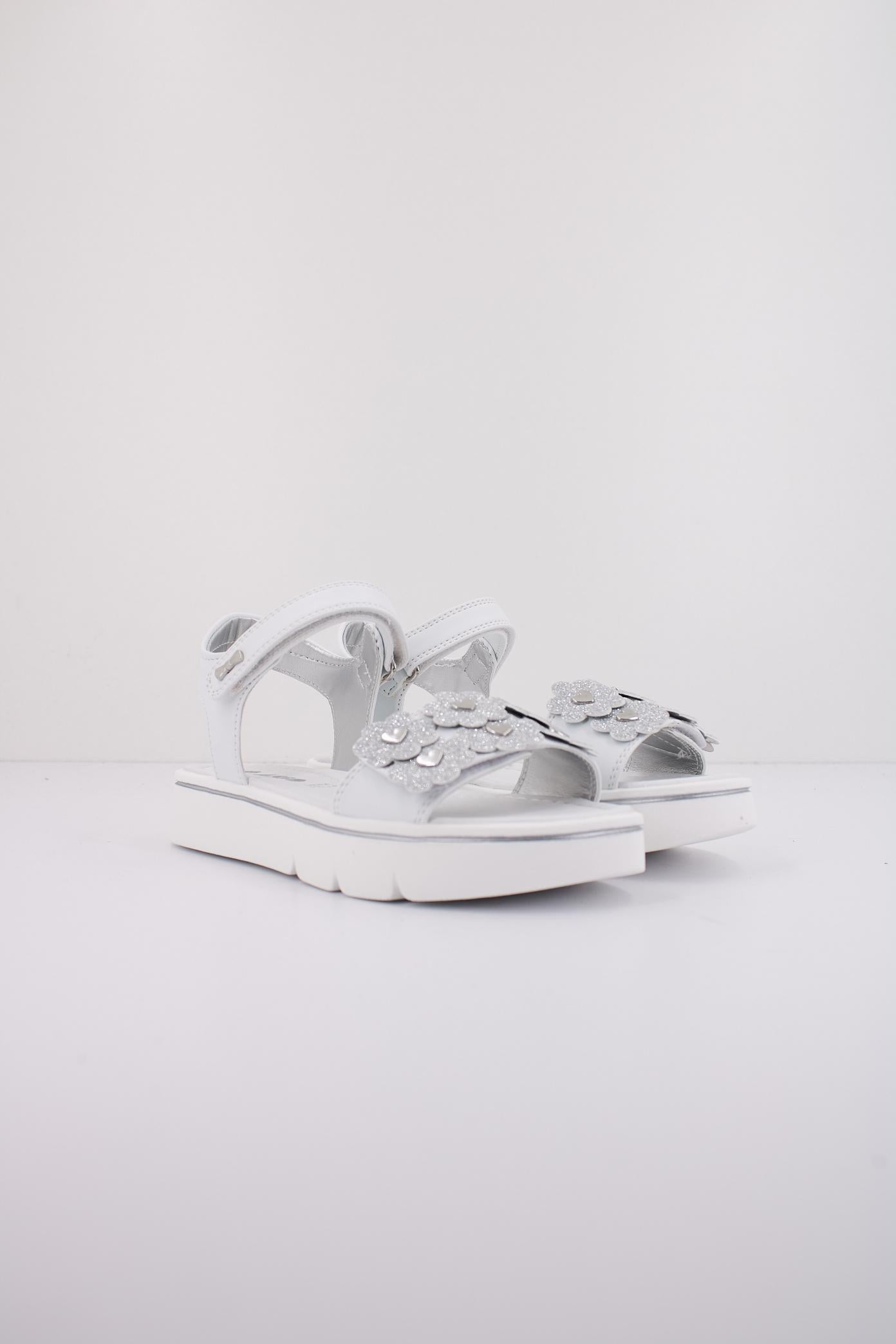 ASSO AG en color BLANCO  (2)