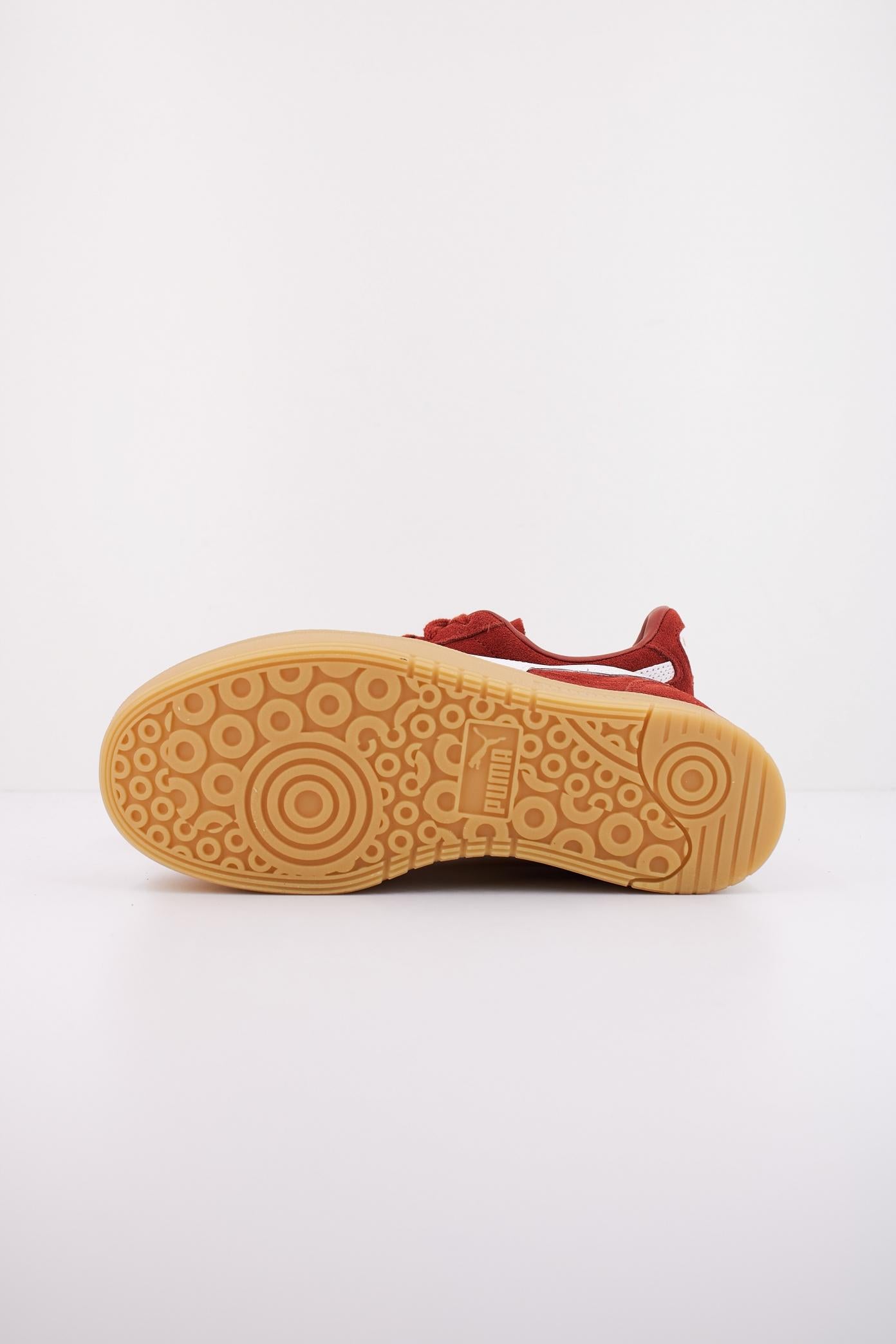 PUMA PALERMO ELEVATA WNS en color BURDEOS  (5)