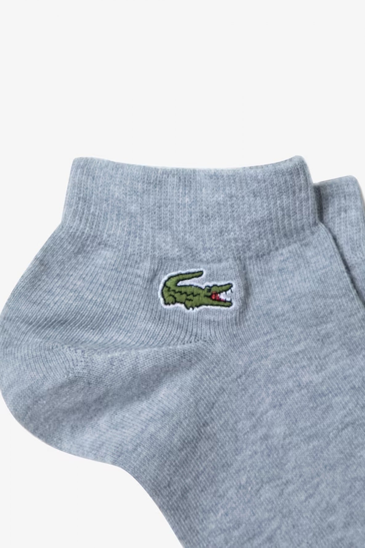 LACOSTE RA en color MULTICOLOR  (2)