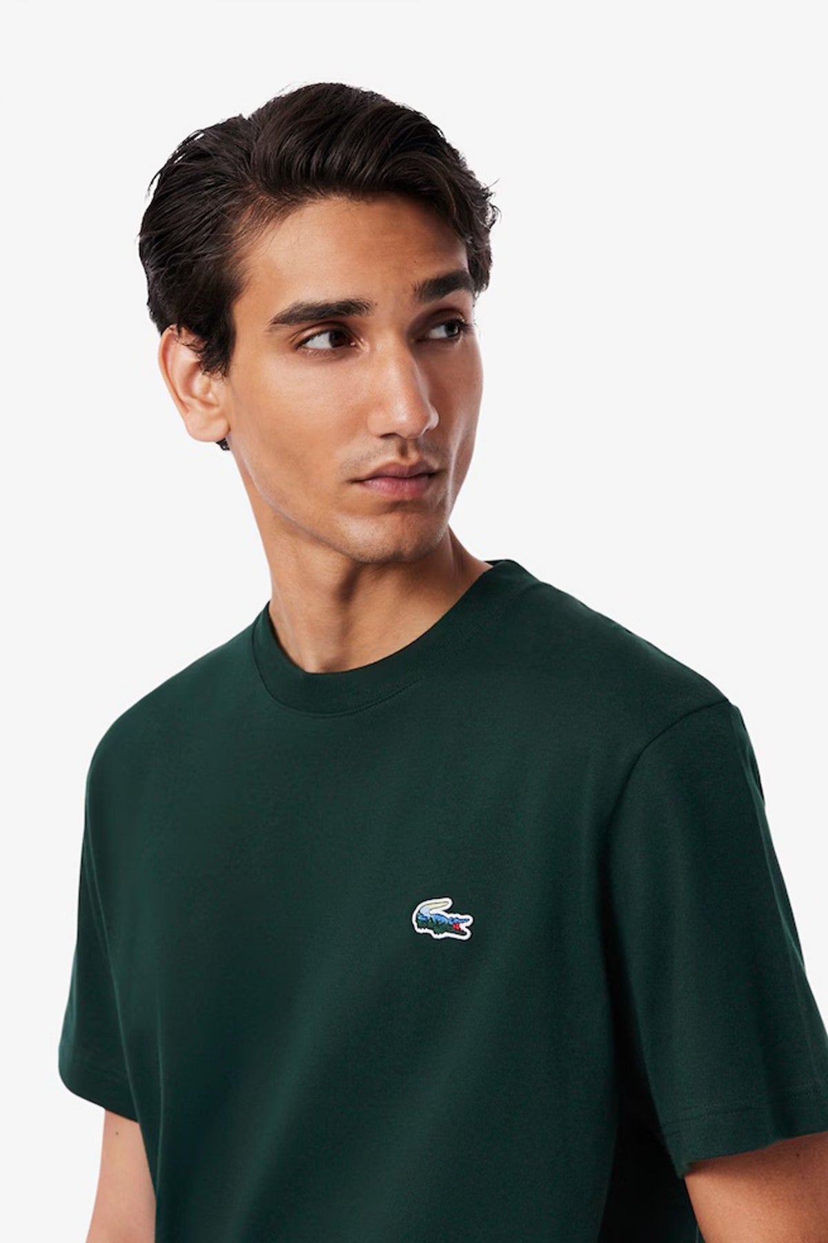 LACOSTE TH en color VERDE  (4)
