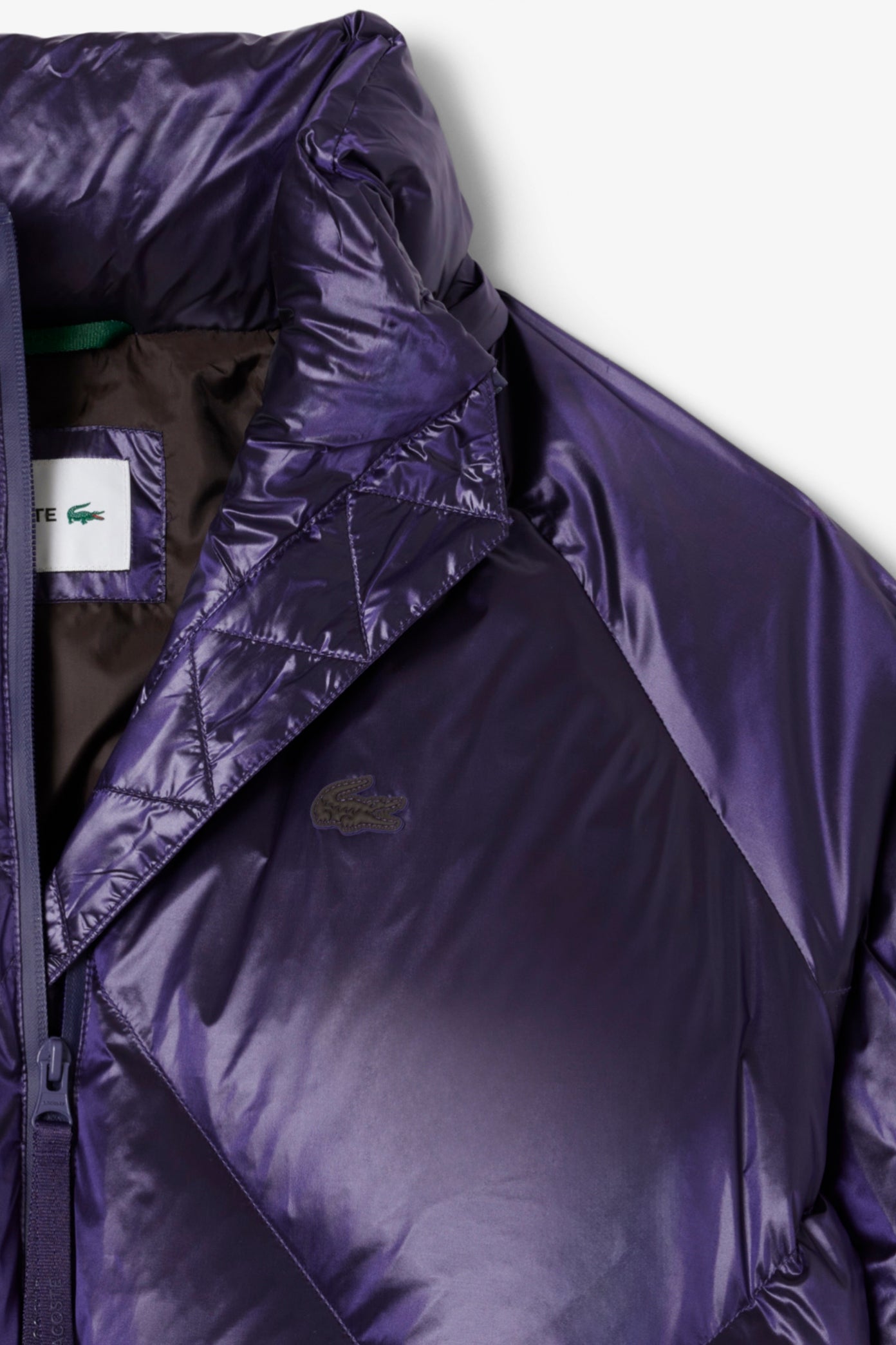 LACOSTE BF en color VIOLETA  (3)