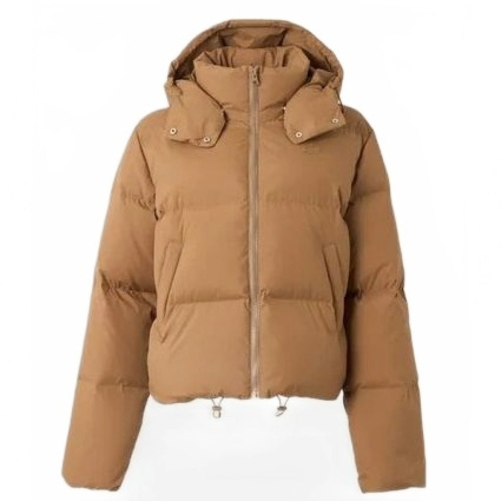LACOSTE PUFFER JACKETS en color   (4)
