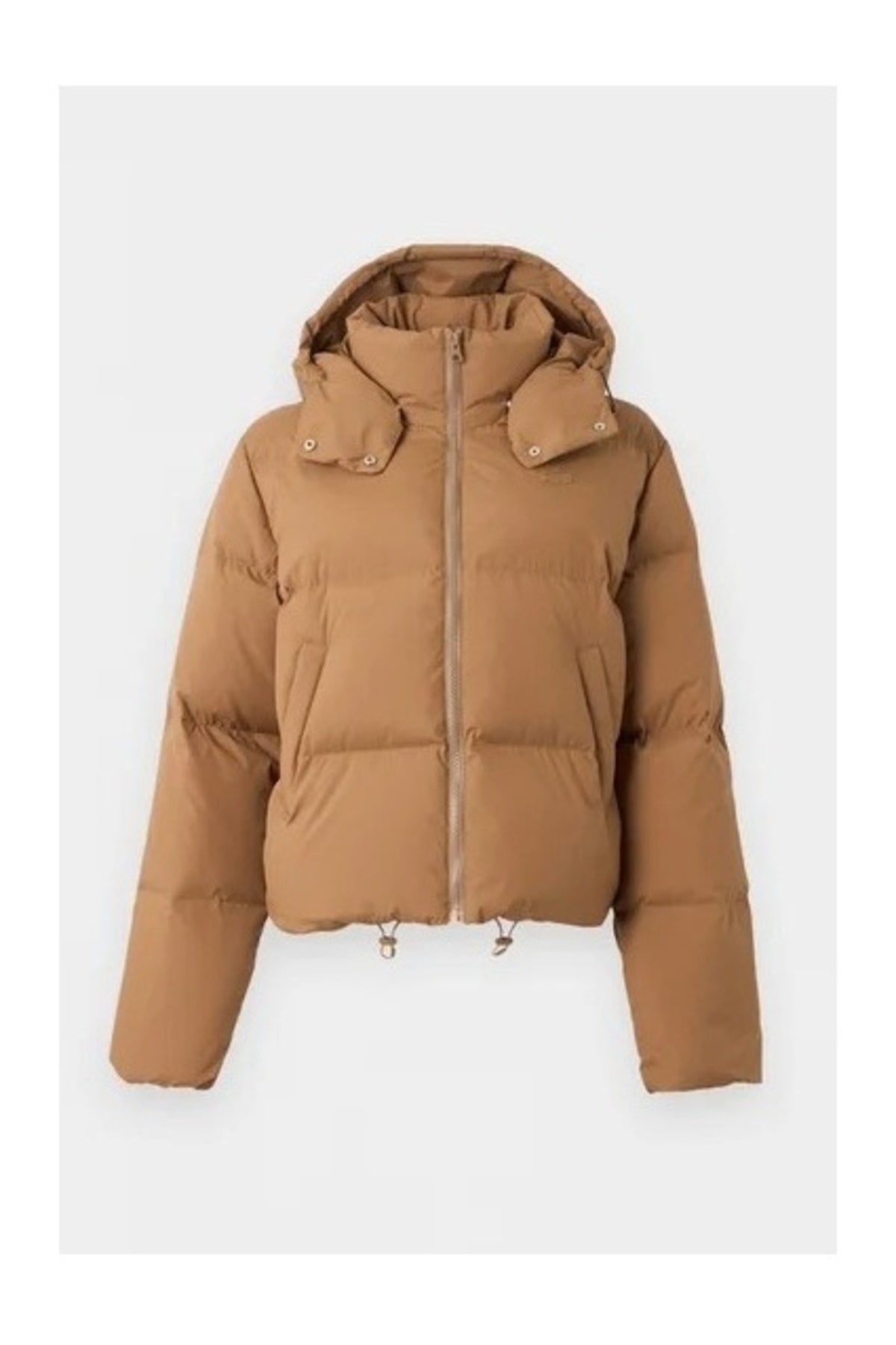 LACOSTE PUFFER JACKETS en color   (1)