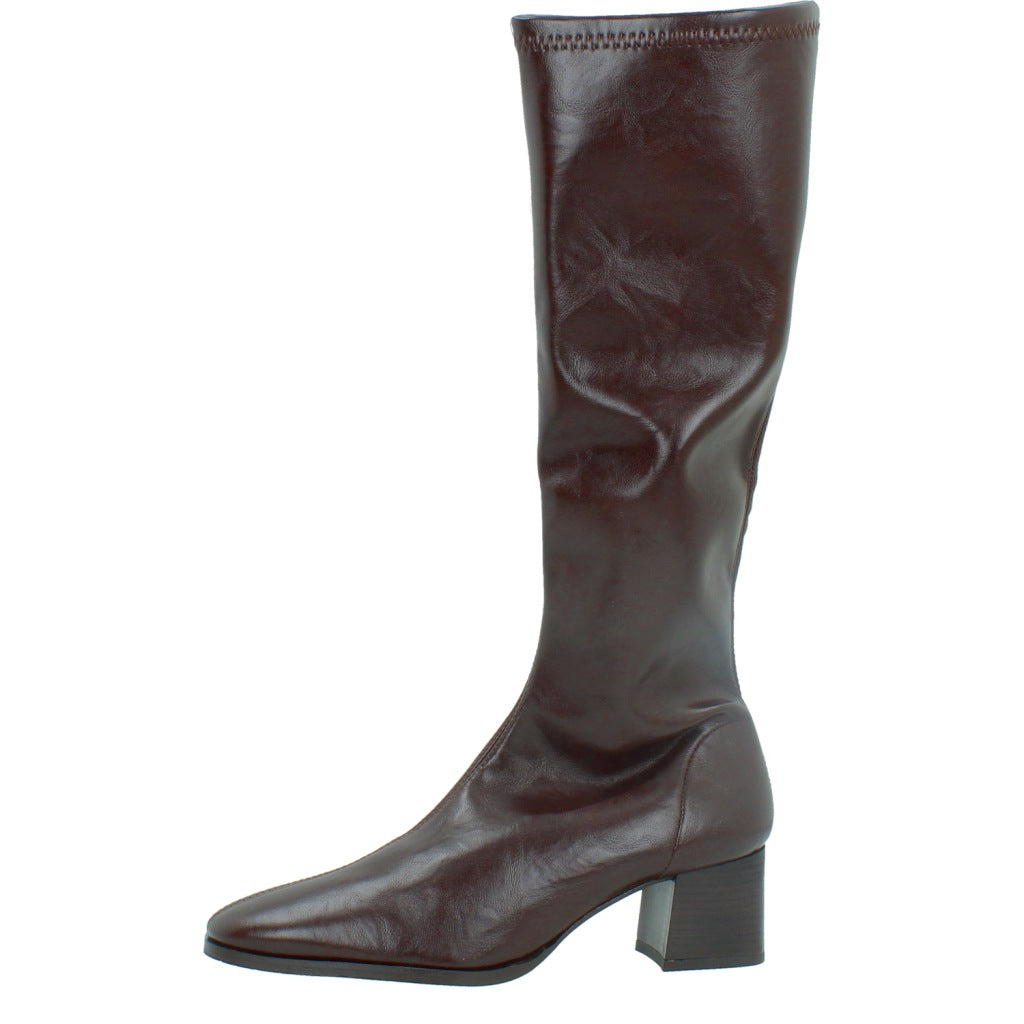 MISS ELASTIC   en color MARRON  (2)