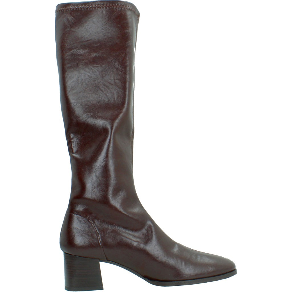 MISS ELASTIC   en color MARRON  (4)