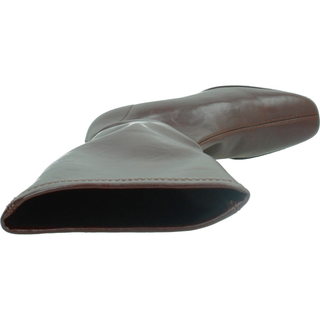 MISS ELASTIC   en color MARRON  (7)