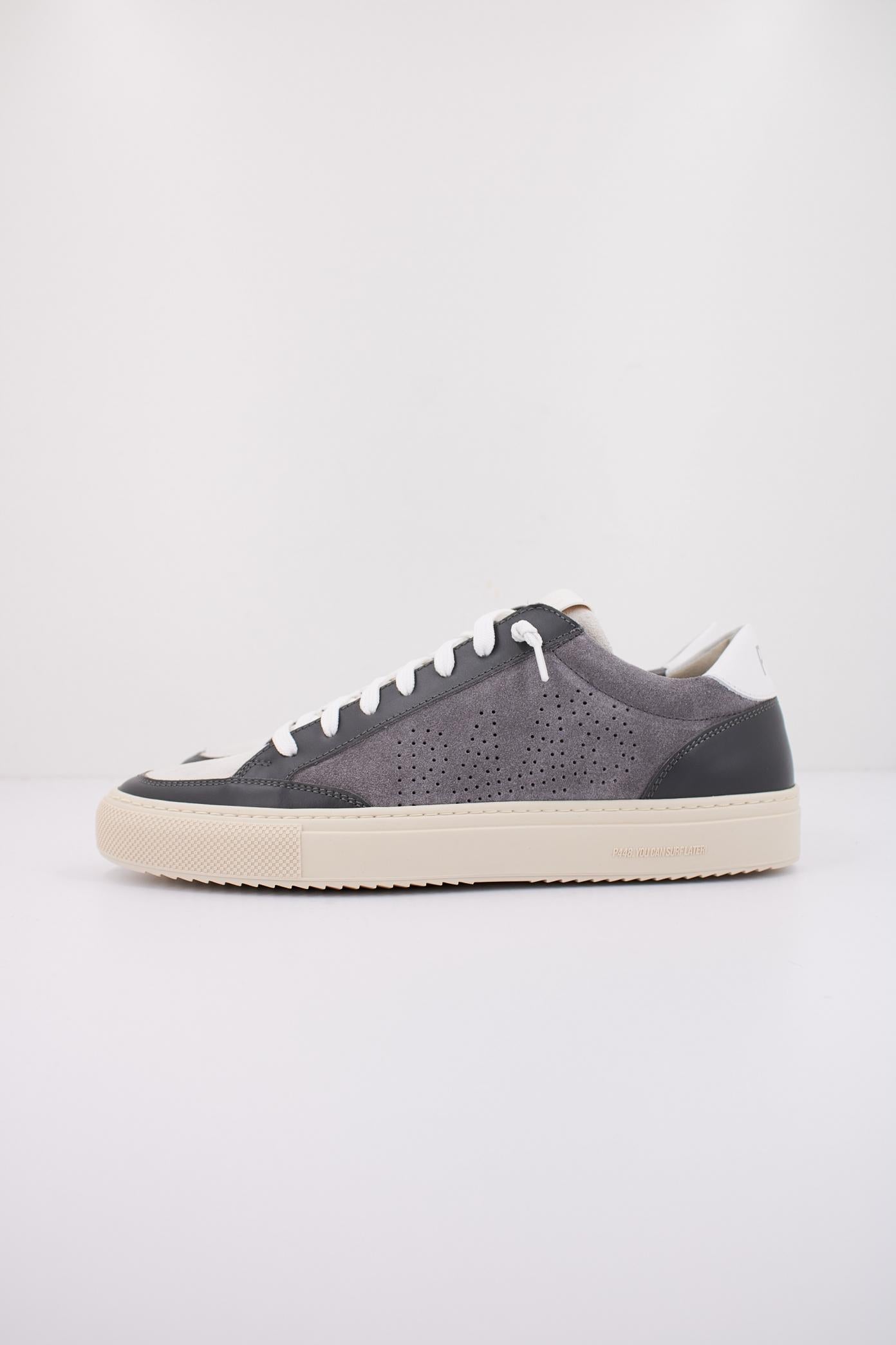 P SOHOM en color GRIS  (1)