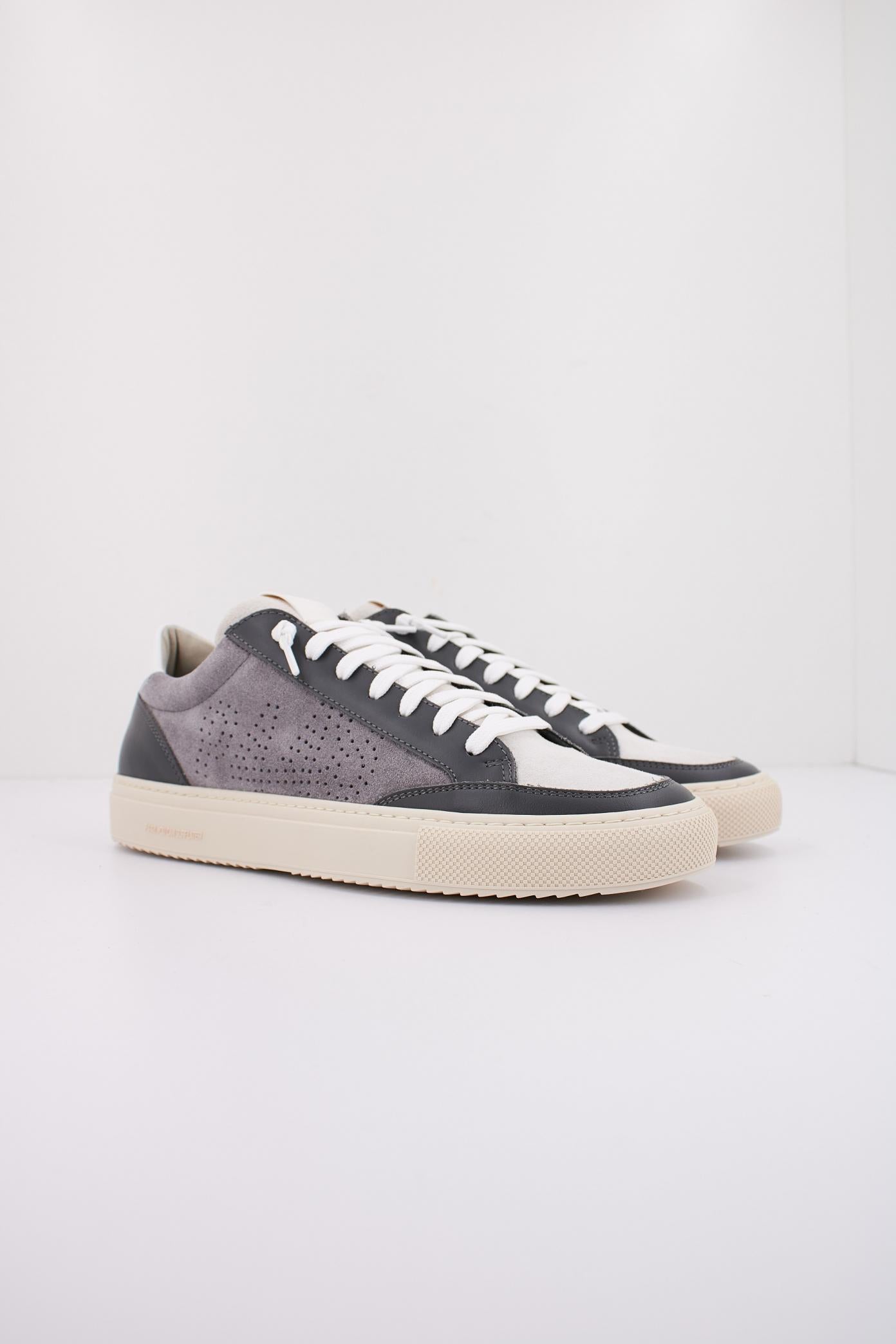 P SOHOM en color GRIS  (2)