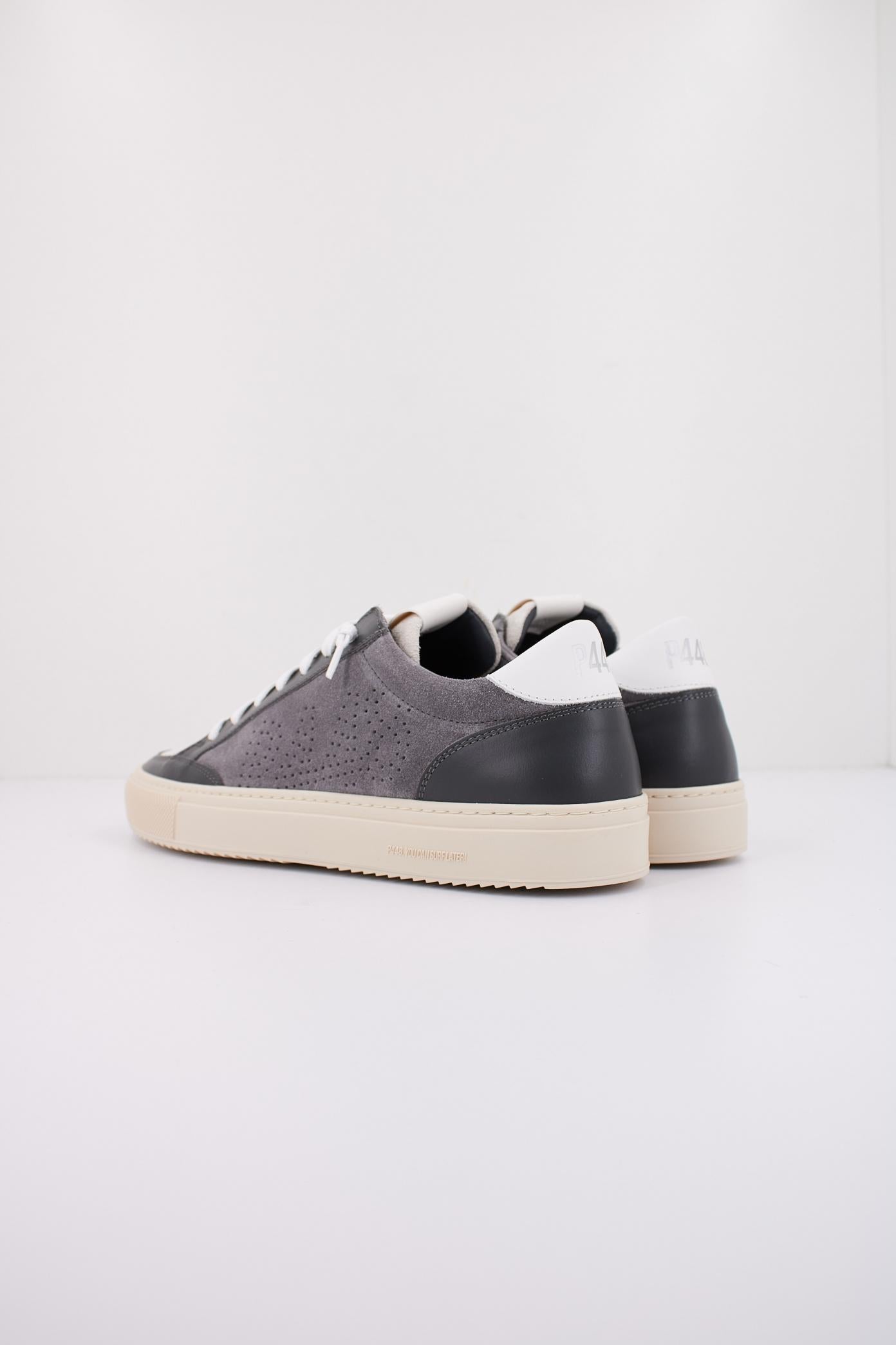 P SOHOM en color GRIS  (4)