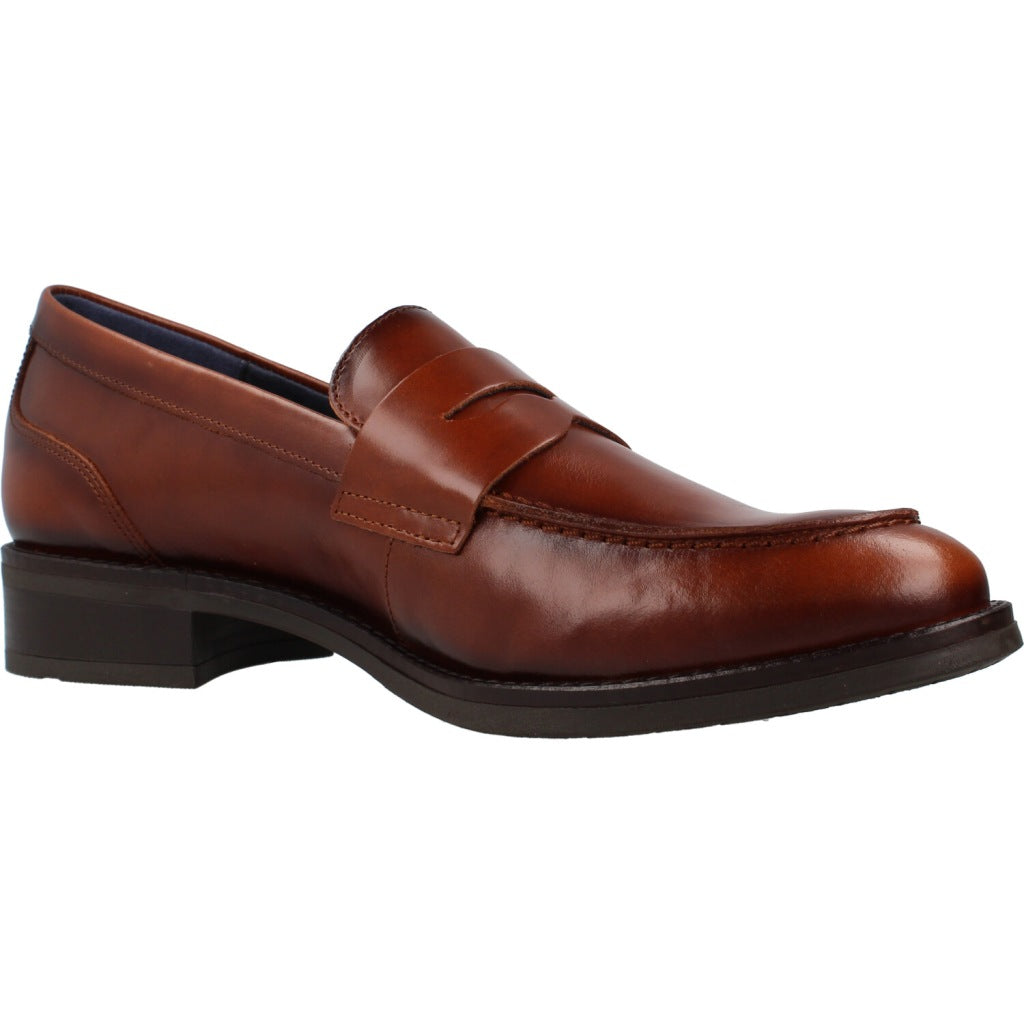DORKING BY FLUCHOS D SR HARVARD SIERRA en color MARRON  (5)