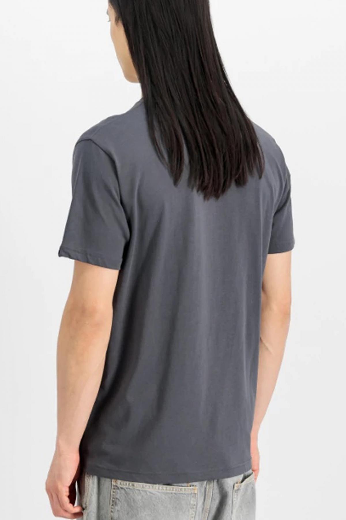 ALPHA INDUSTRIES HAWAII T en color GRIS  (3)