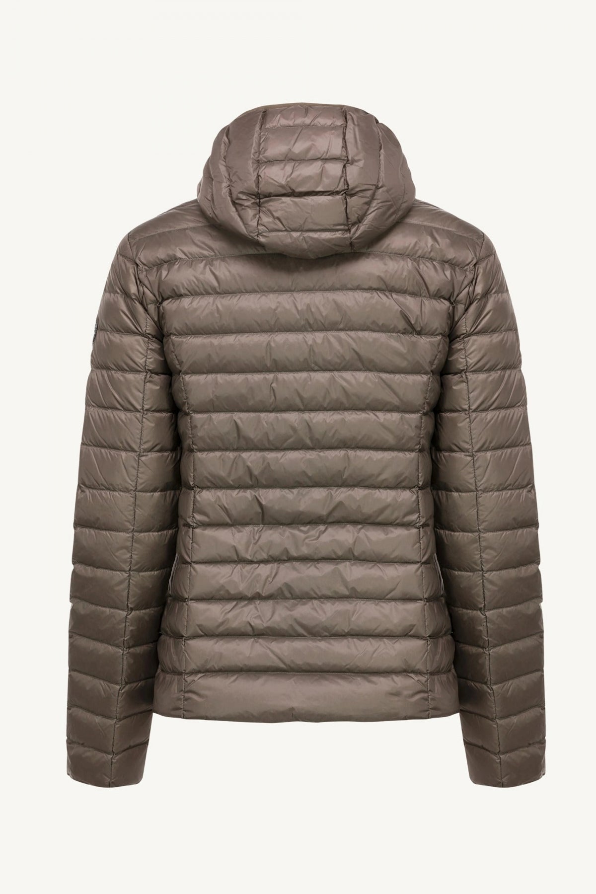 JOTT CLOE NOOS en color MARRON  (3)