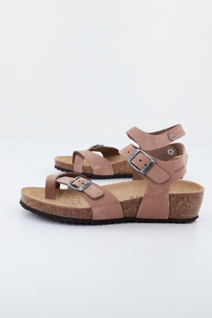 GEOX D STHELLAE en color MARRON  (3)