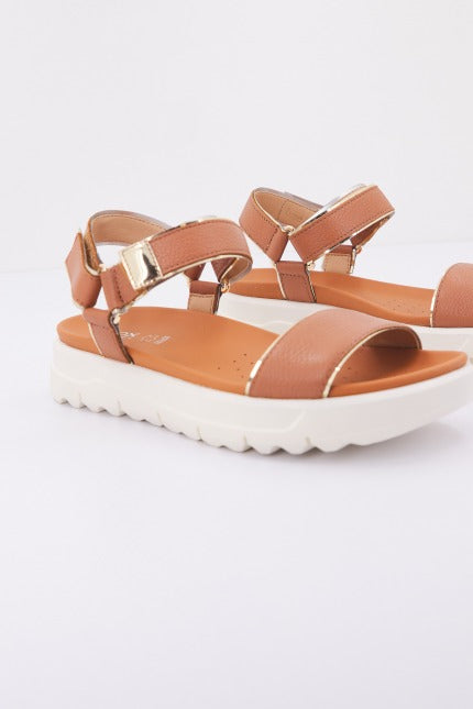 GEOX D XAND .S B en color MARRON  (1)