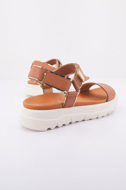 GEOX D XAND .S B en color MARRON  (2)
