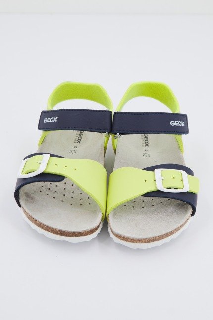 GEOX  J GHITA BOY en color VERDE  (1)