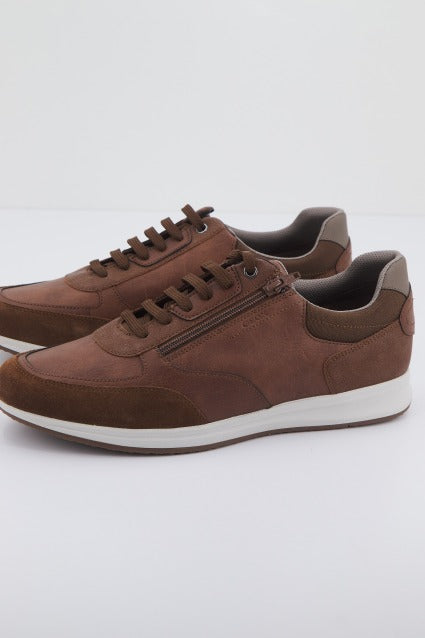 GEOX  U AVERY en color MARRON  (1)