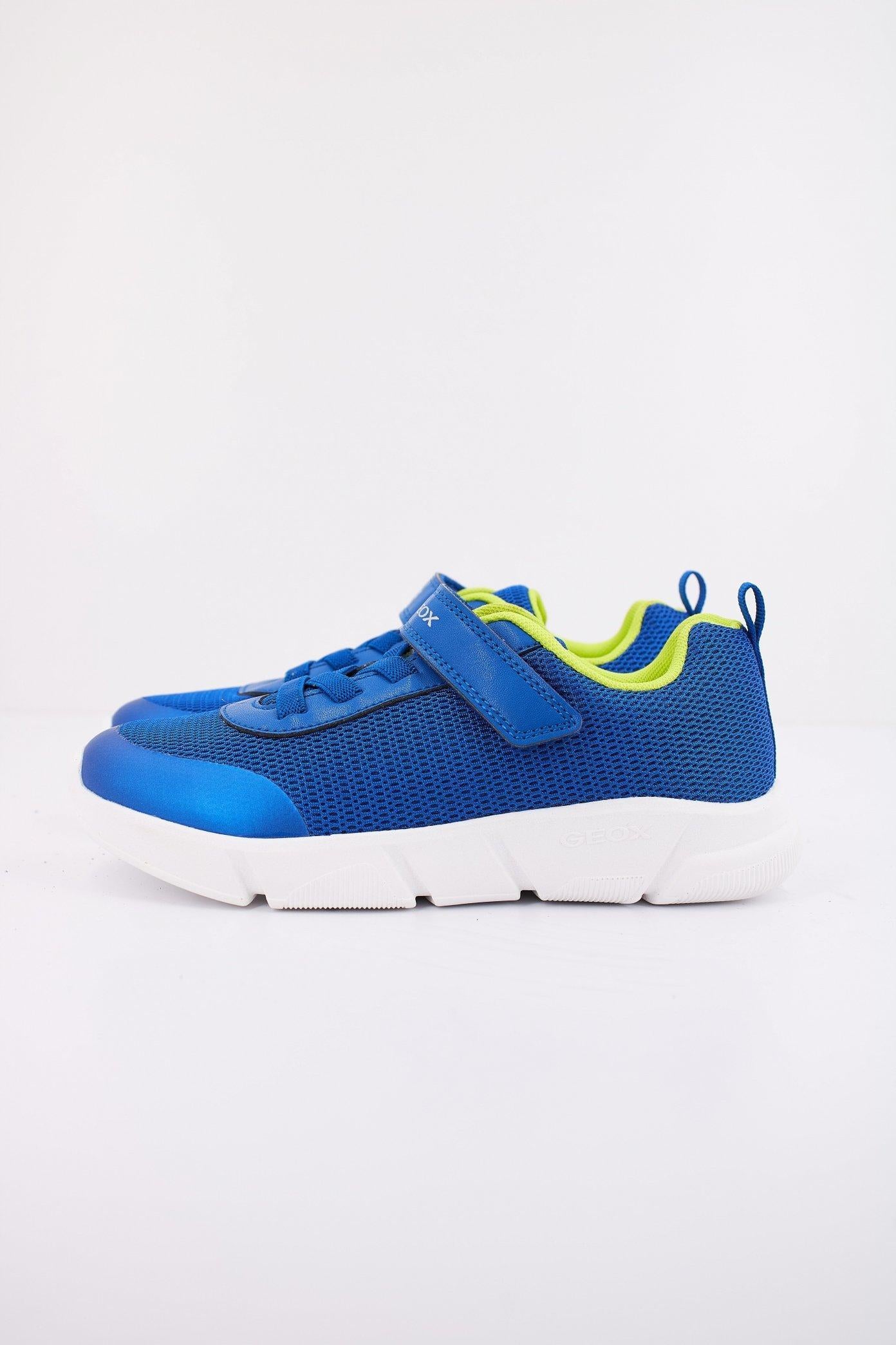 GEOX J ARIL B. en color AZUL  (1)