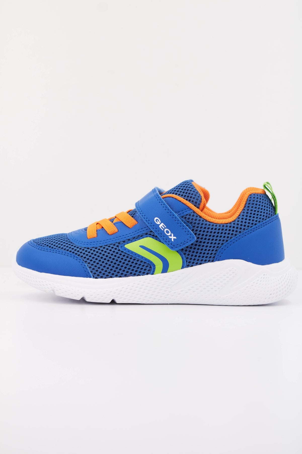 GEOX  en color AZUL  (1)