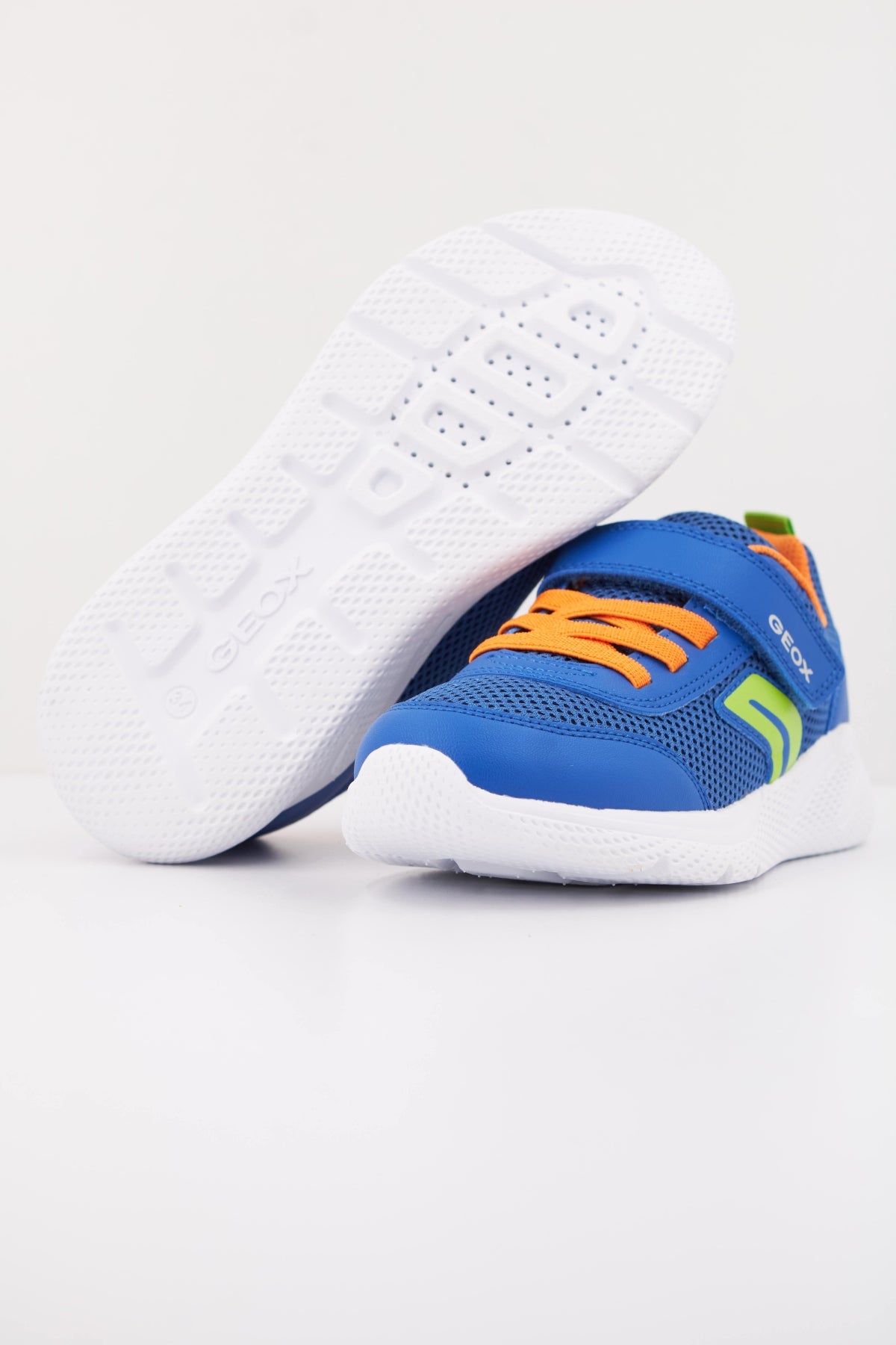 GEOX  en color AZUL  (5)
