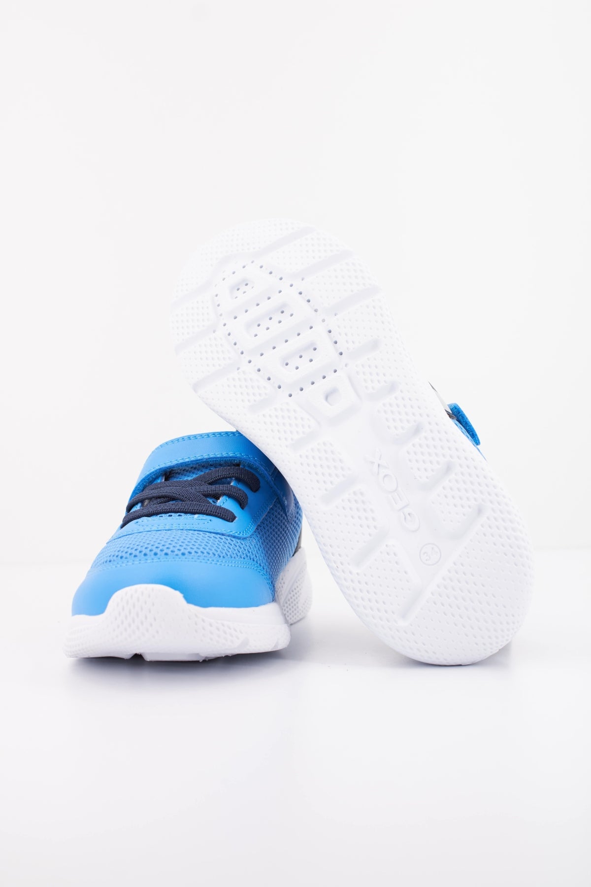 GEOX  en color AZUL  (5)