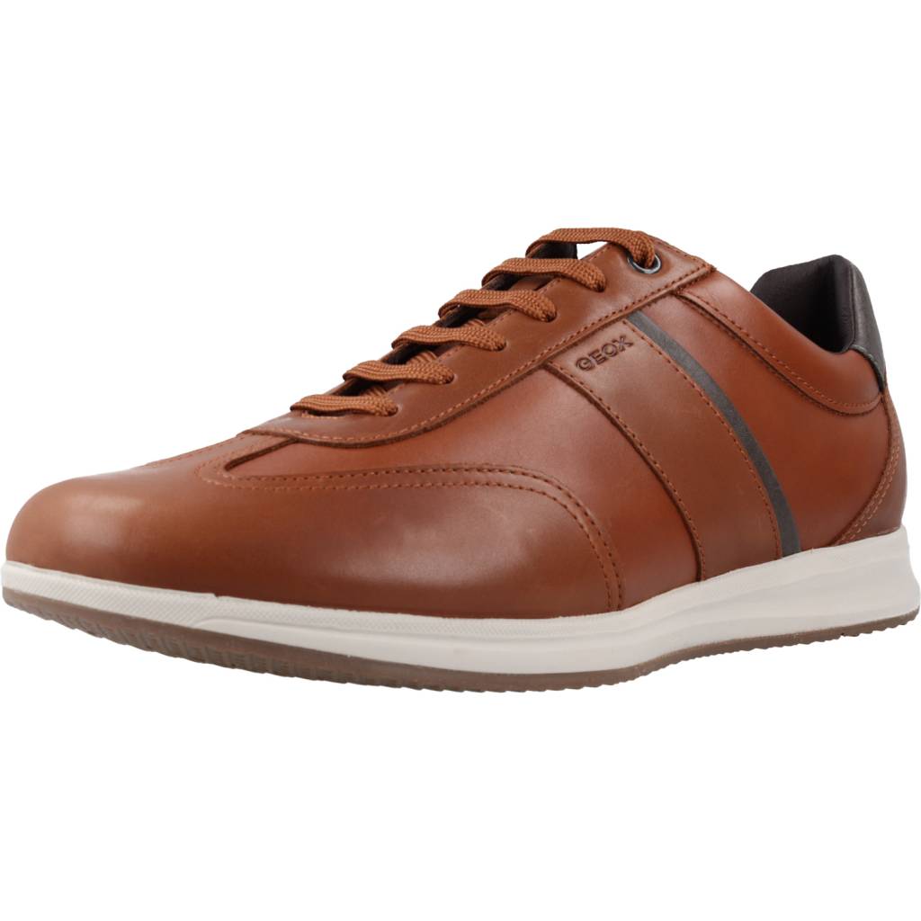 GEOX U AVERY A en color MARRON  (1)