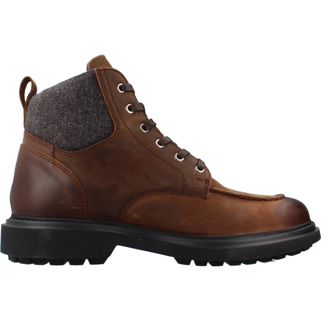 GEOX U FALORIA B ABX en color MARRON  (4)