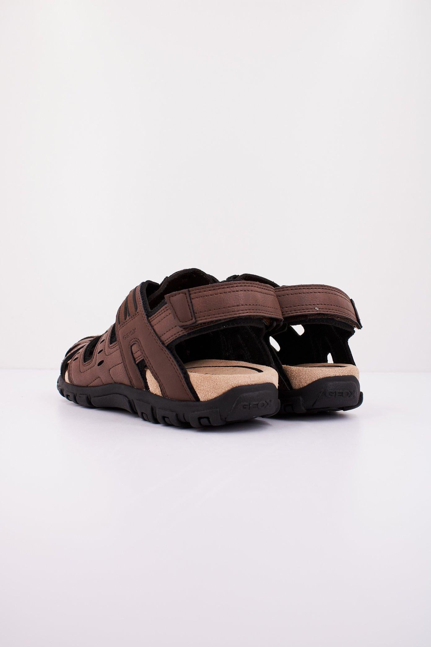 GEOX U S STRADA C en color MARRON  (3)