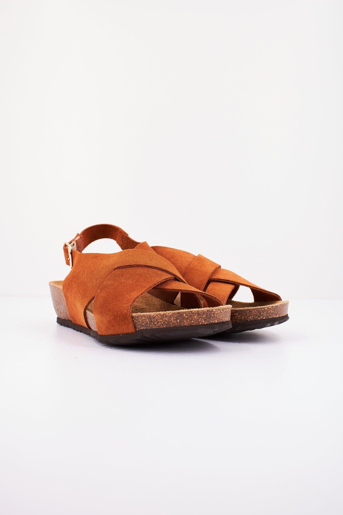 GEOX D STHELLAE en color MARRON  (2)