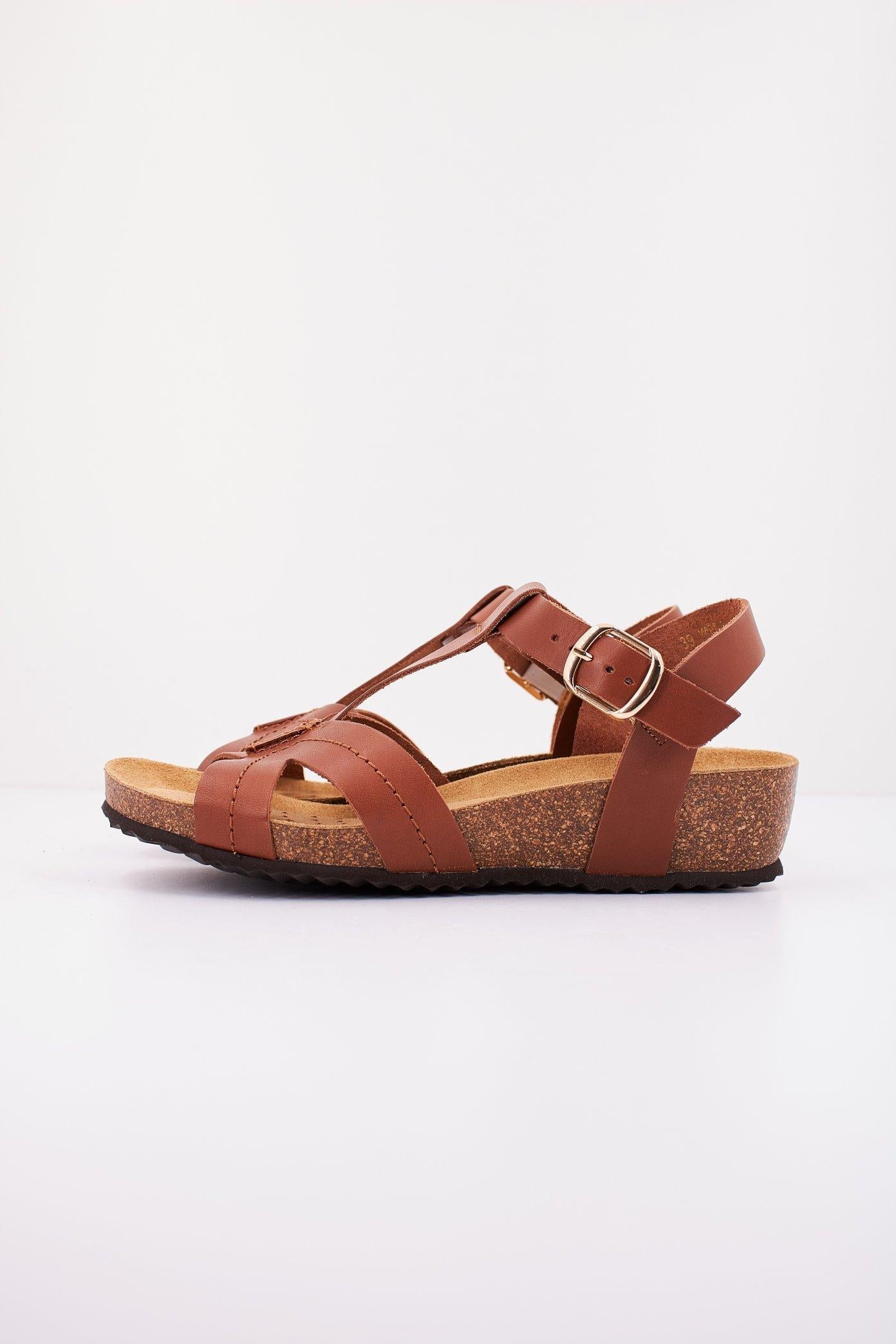 GEOX D STHELLAE en color MARRON  (1)