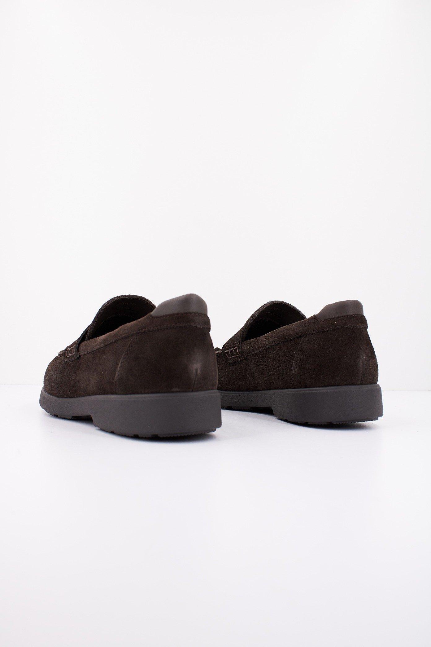 GEOX U SPHERICA EC en color MARRON  (3)