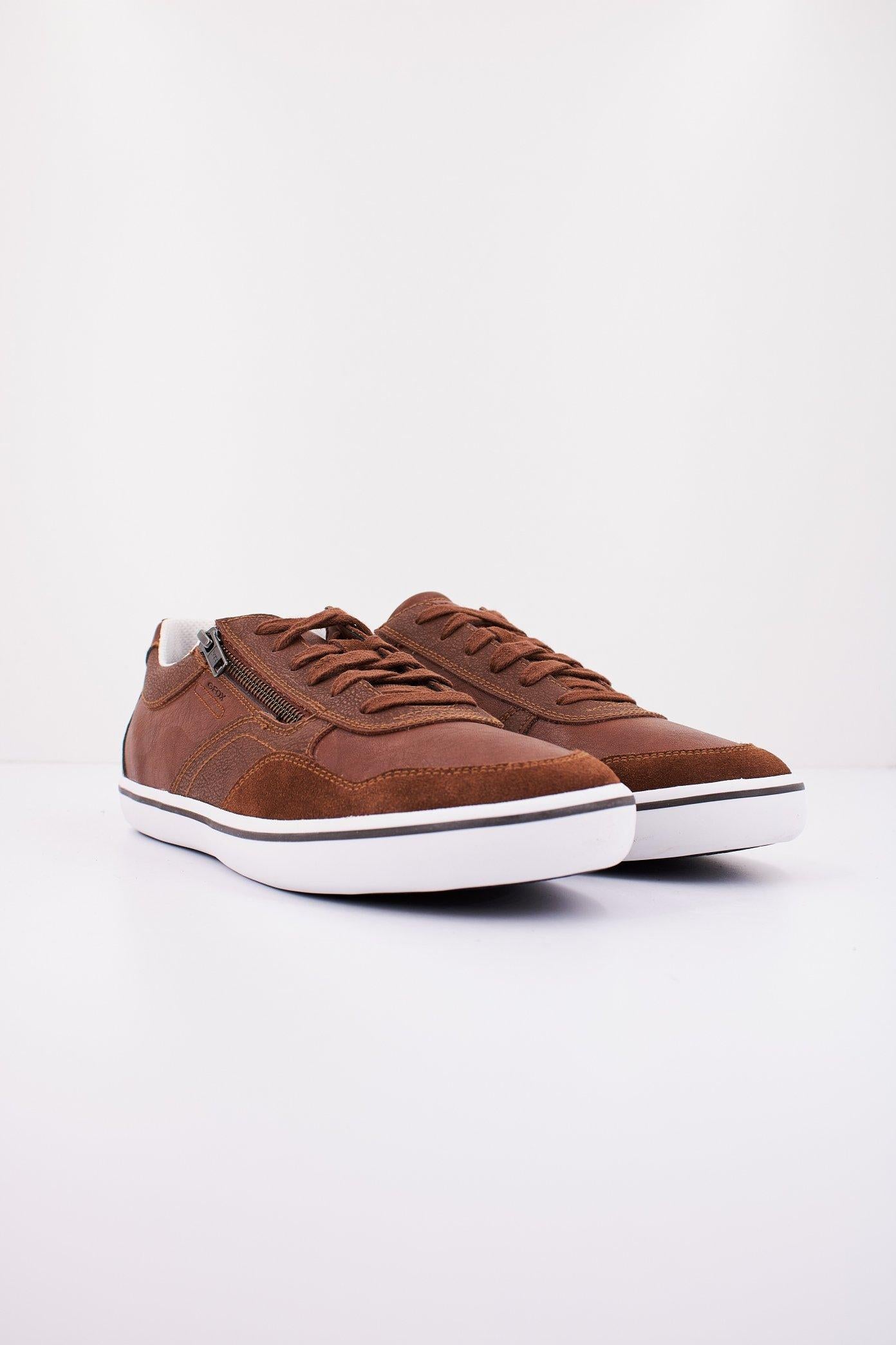 GEOX U ELVER en color MARRON  (2)