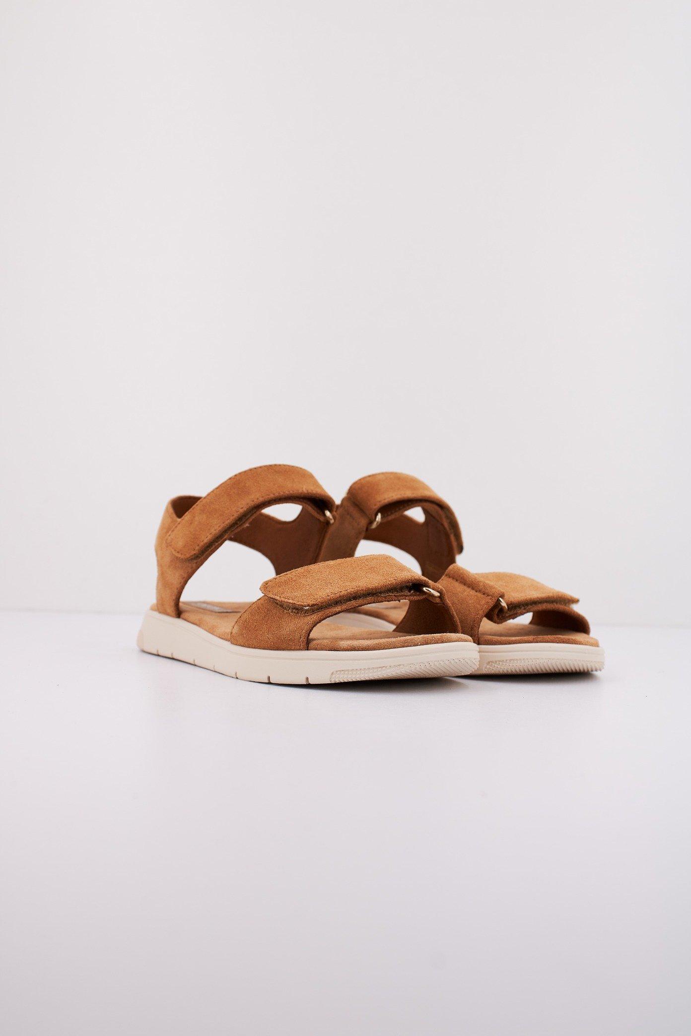 GEOX D DANDRA en color MARRON  (2)