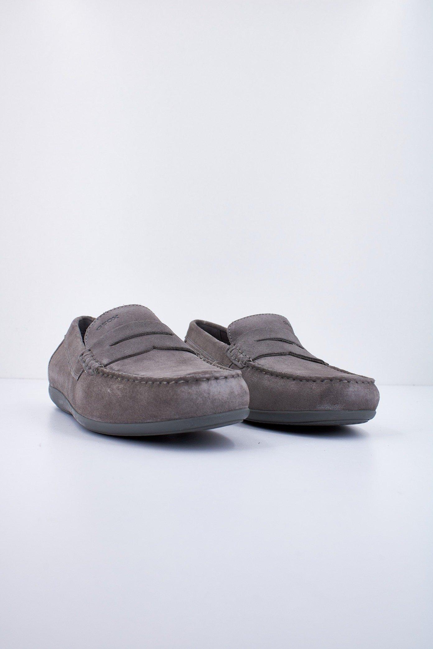 GEOX U ASCANIO en color GRIS  (2)