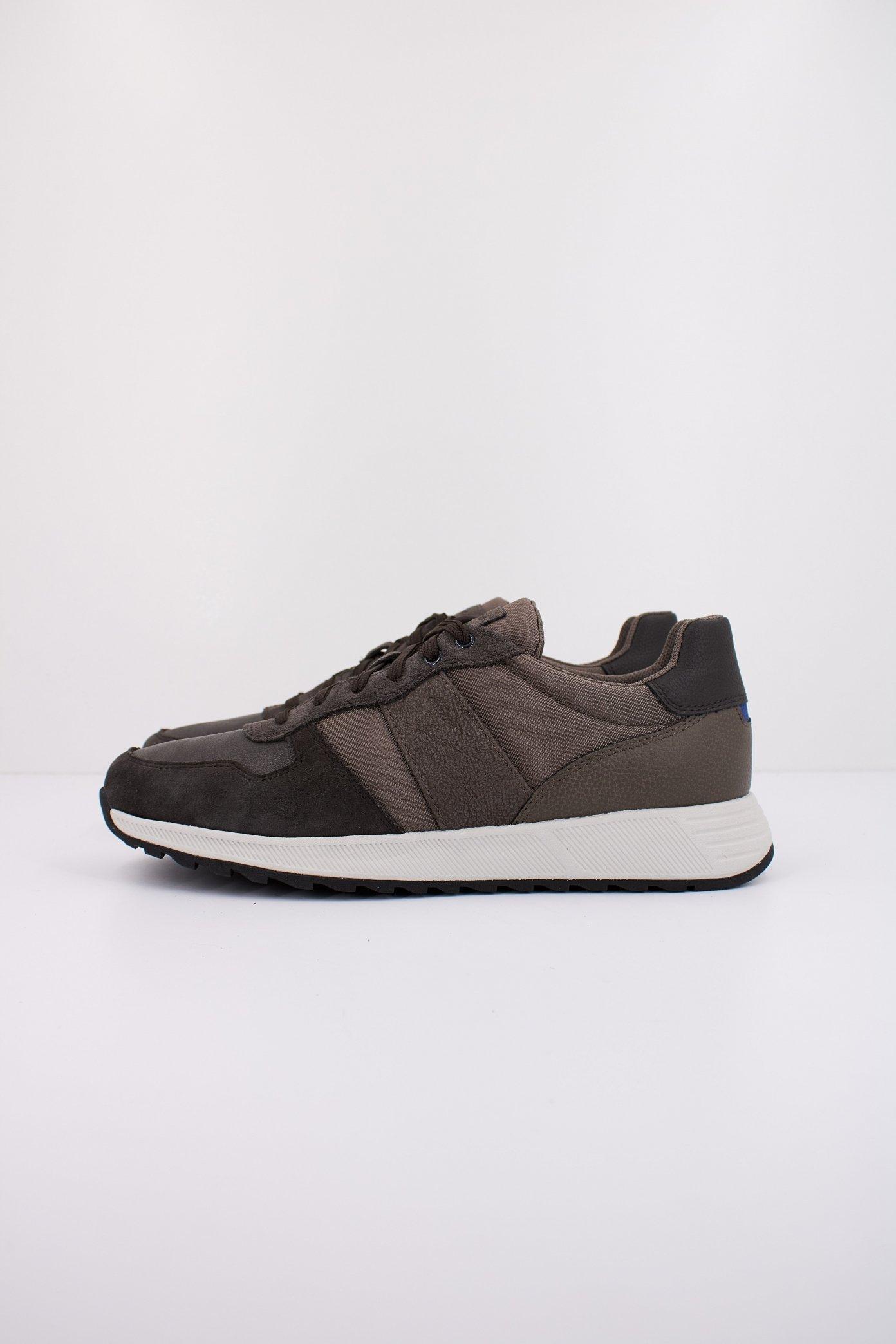 GEOX U MOLVENO en color MARRON  (1)