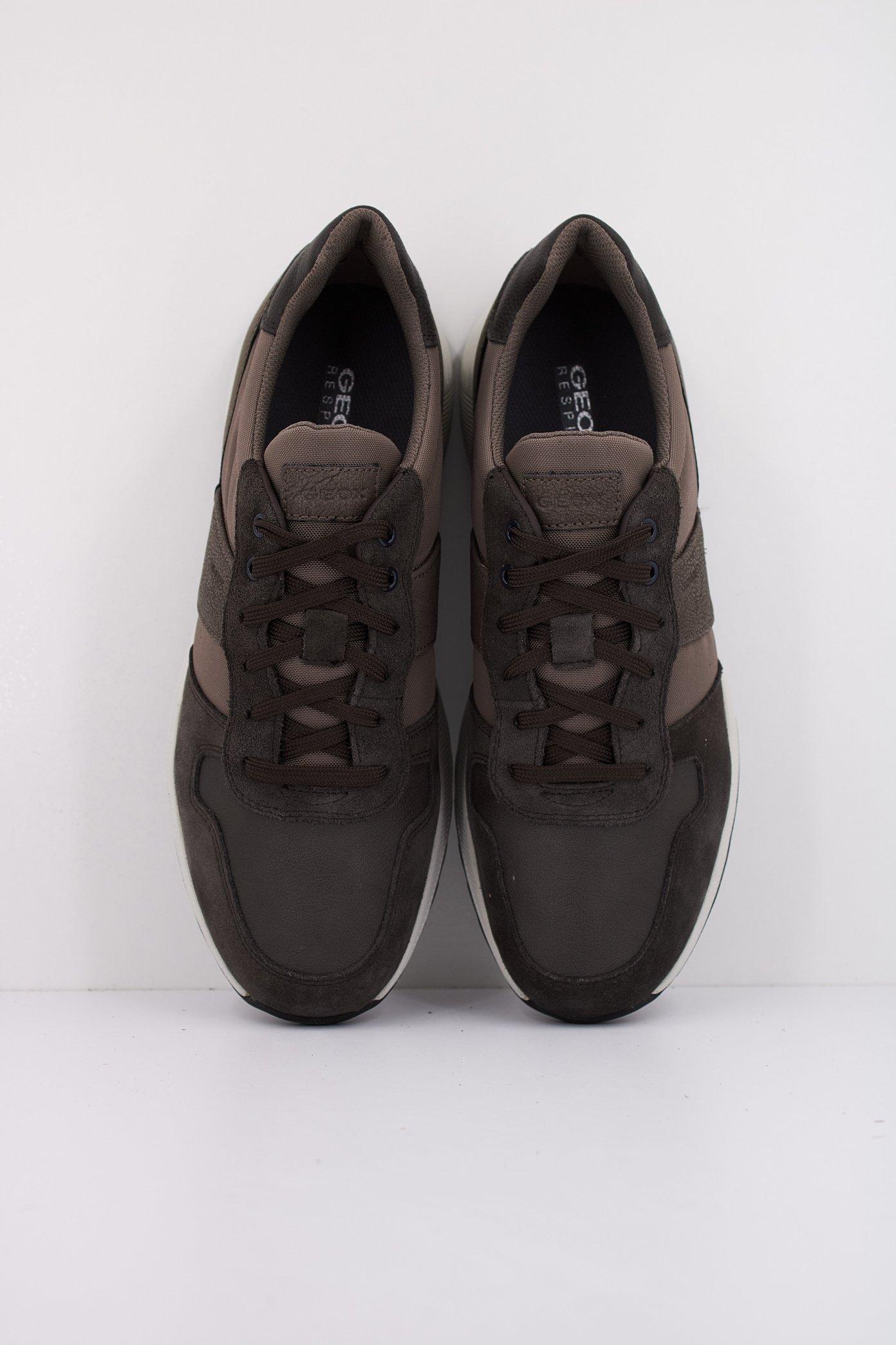 GEOX U MOLVENO en color MARRON  (4)