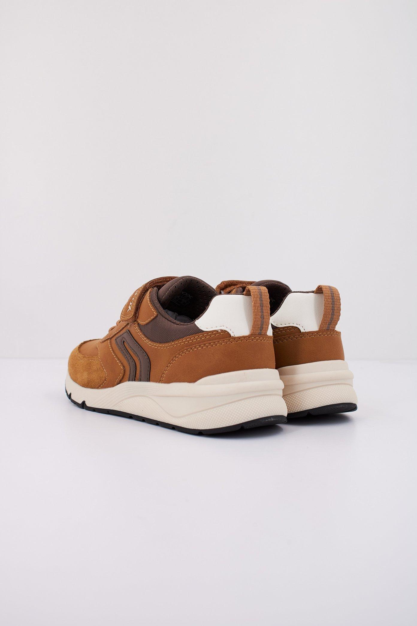 GEOX J ROONER en color MARRON CLARO  (4)