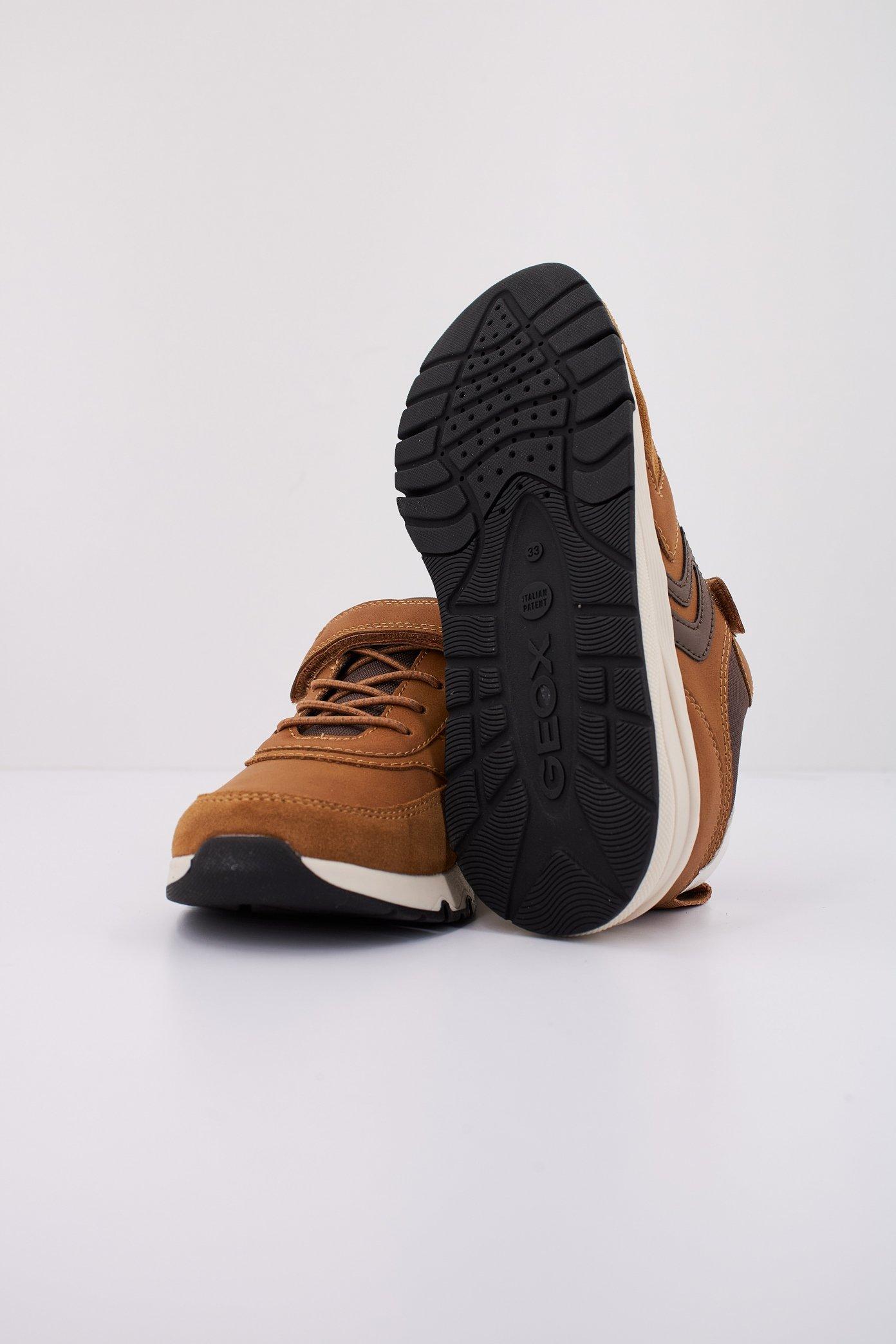 GEOX J ROONER en color MARRON CLARO  (5)