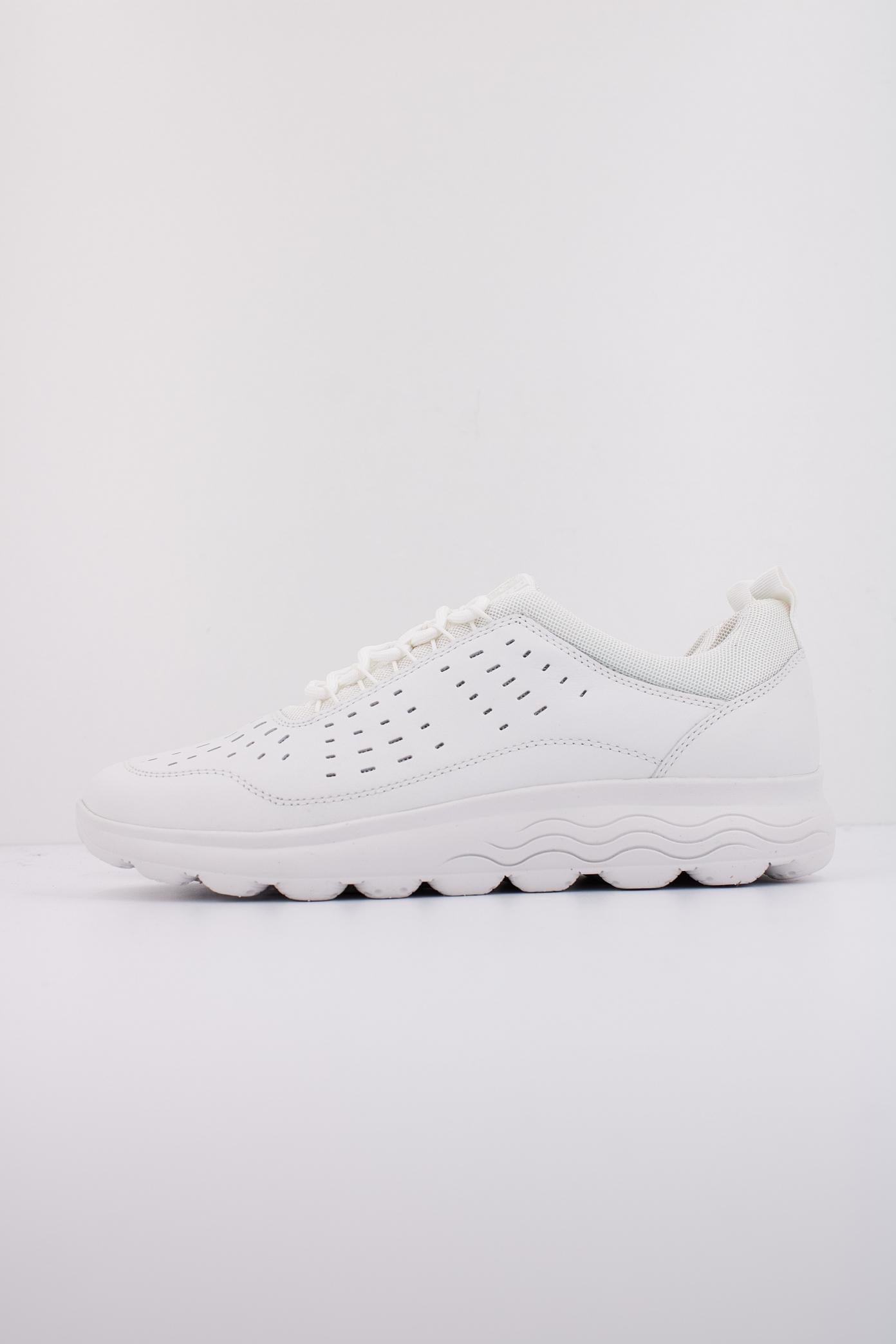 GEOX D SPHERICA en color BLANCO  (1)