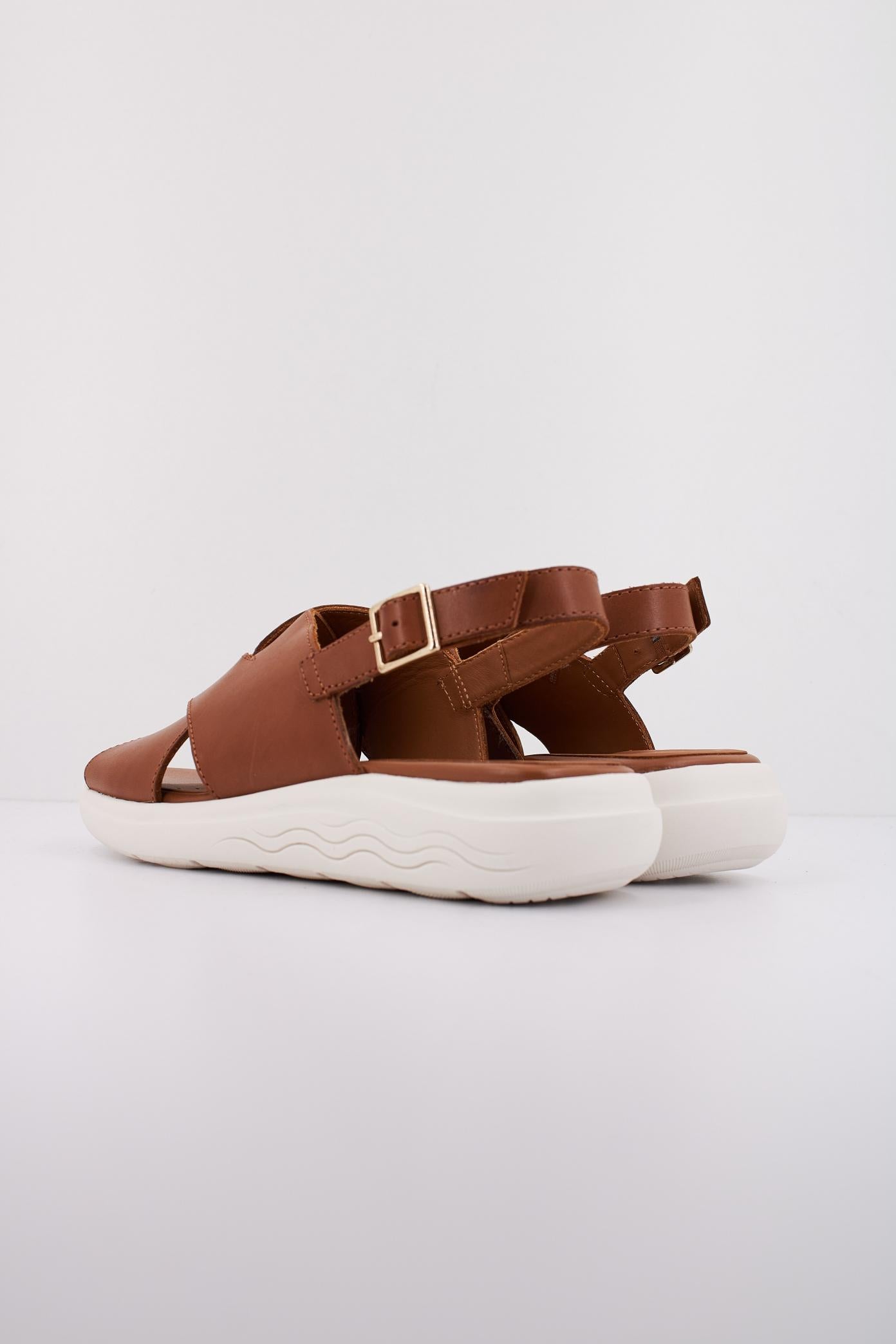 GEOX  D SPHERICA EC en color MARRON  (4)