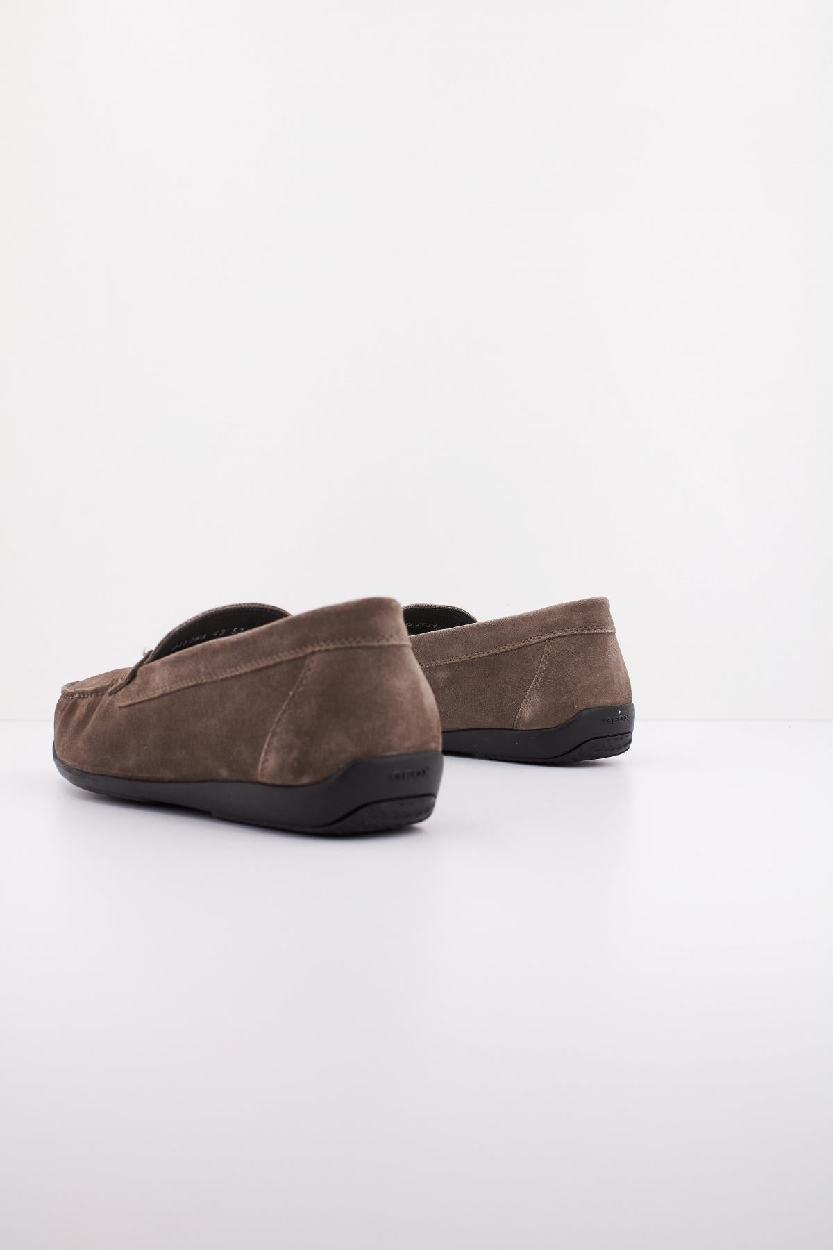 GEOX U ASCANIO en color MARRON  (4)