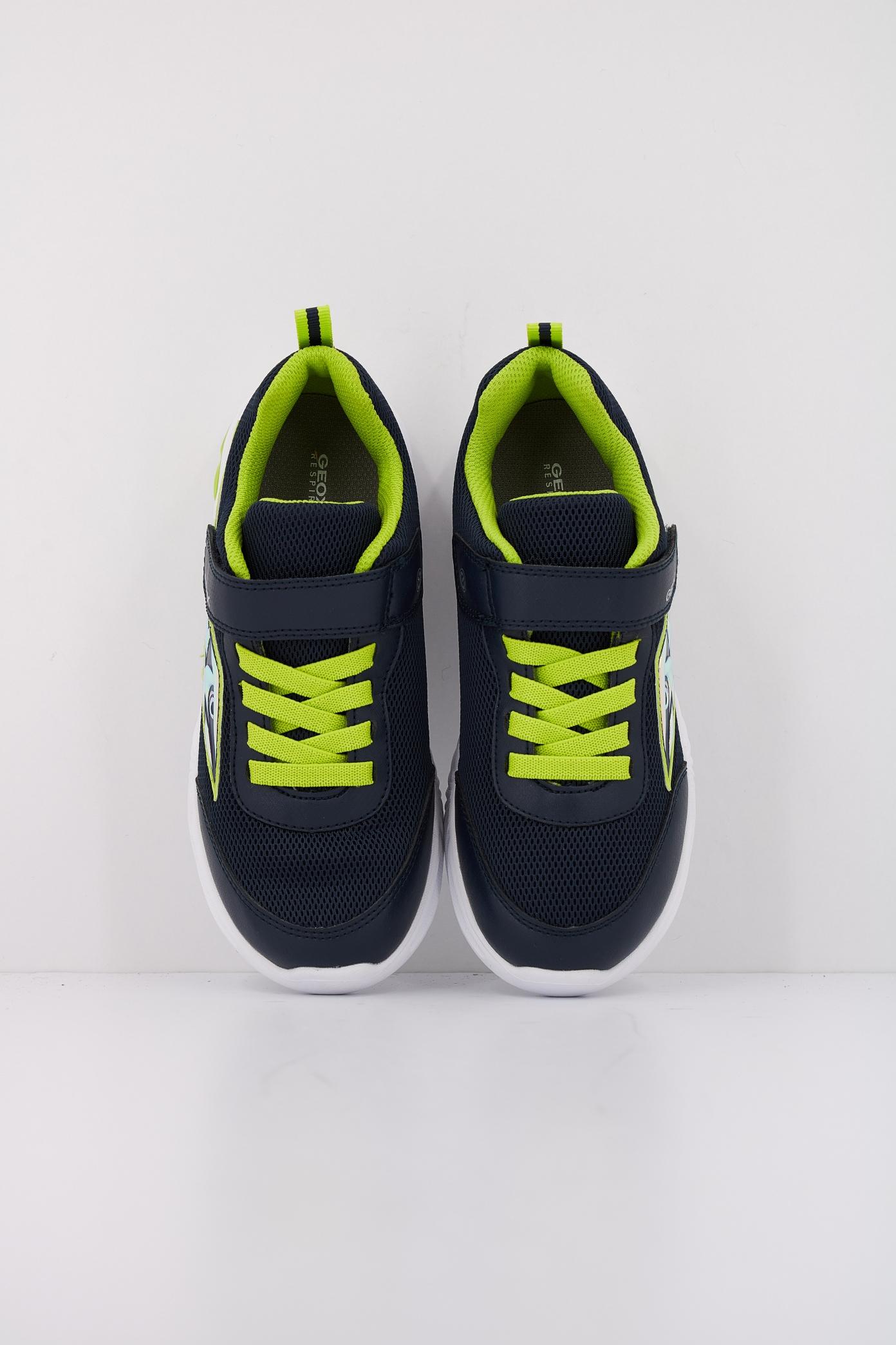 GEOX  J ASSISTER BOY en color AZUL  (3)